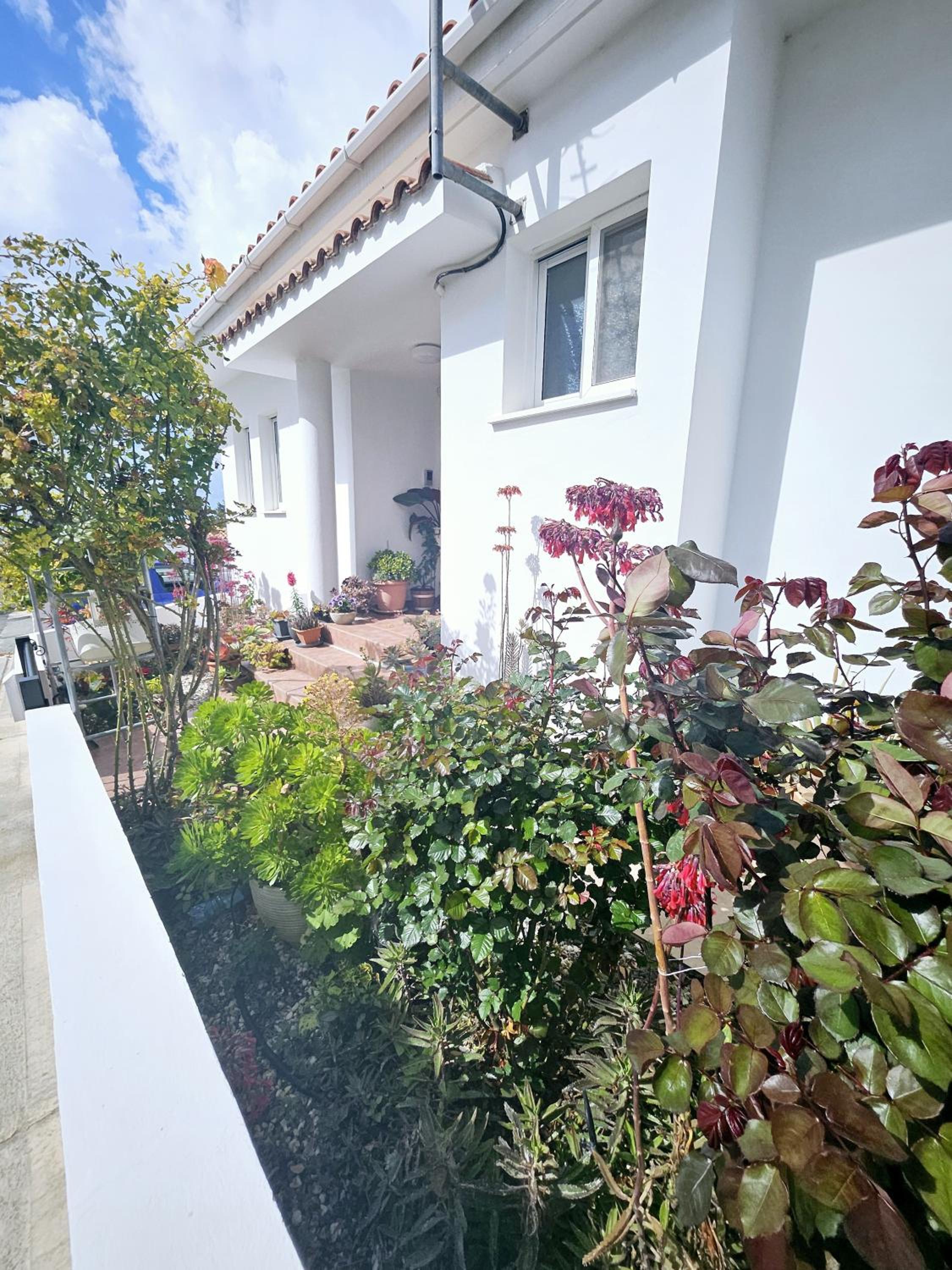 Villa Olivia