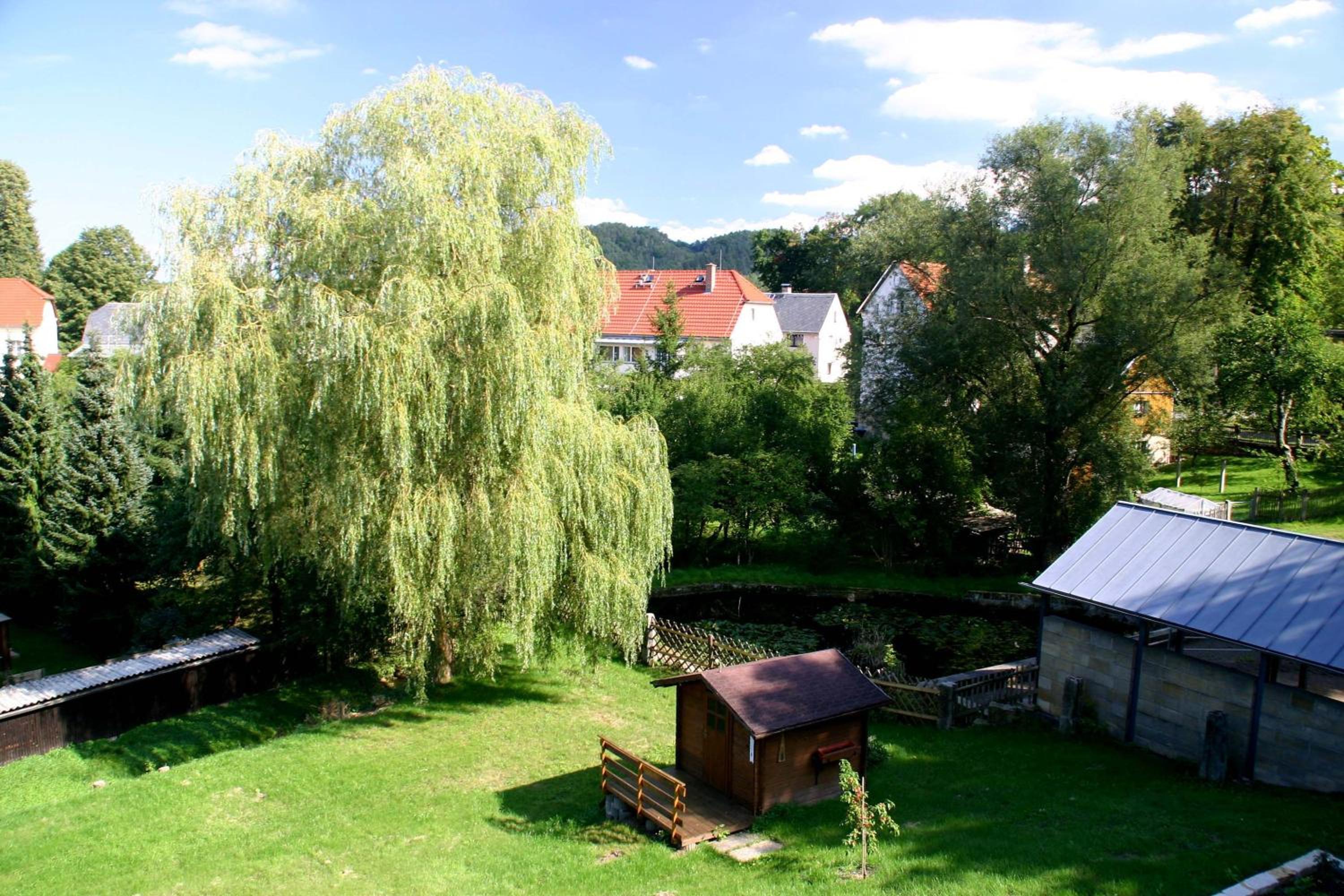 Photo 9