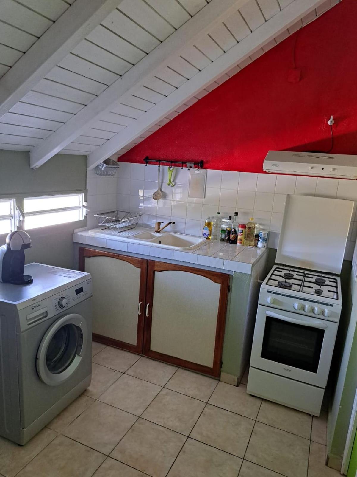 Fleurs d'hibiscus view 5