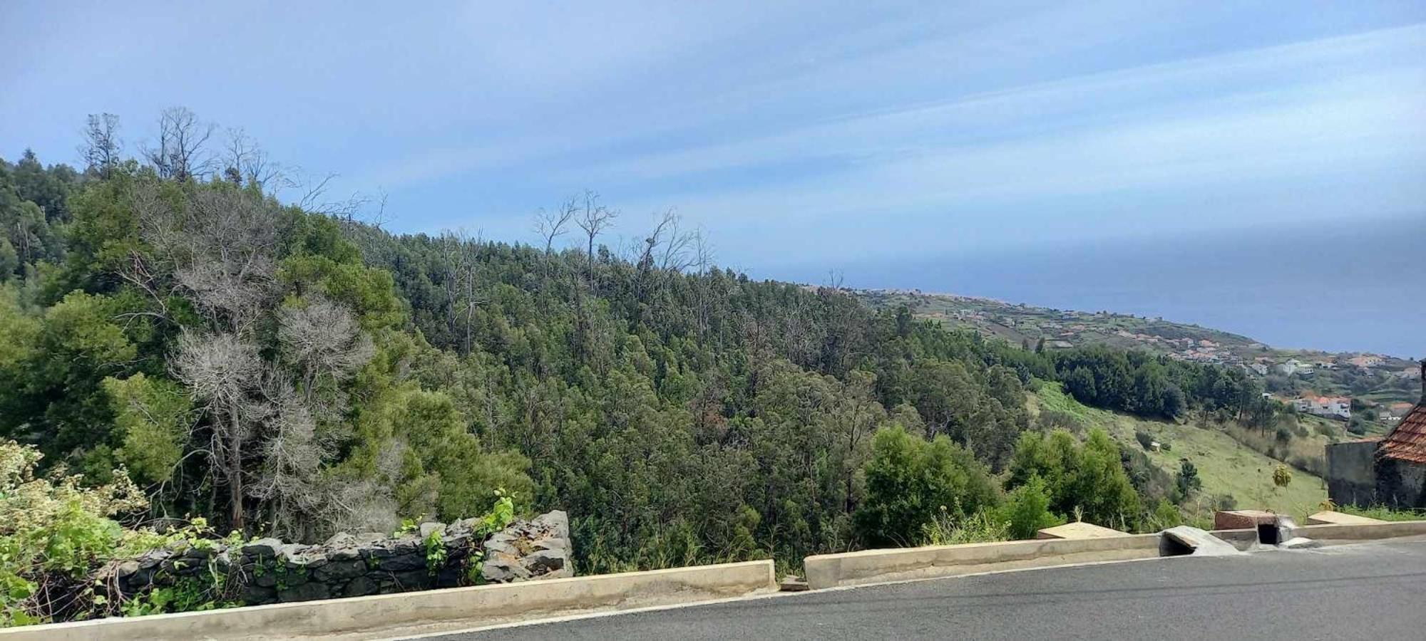 Casa Monte de Paz view 2