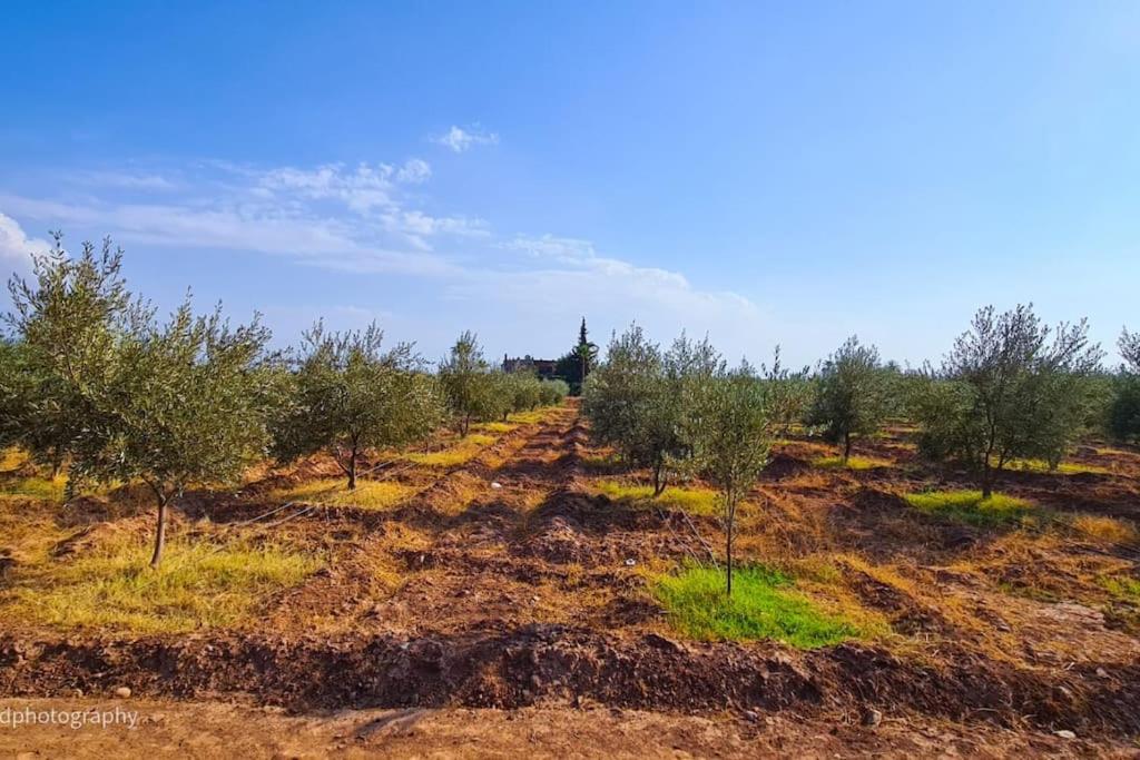 Villa Tifira view 5