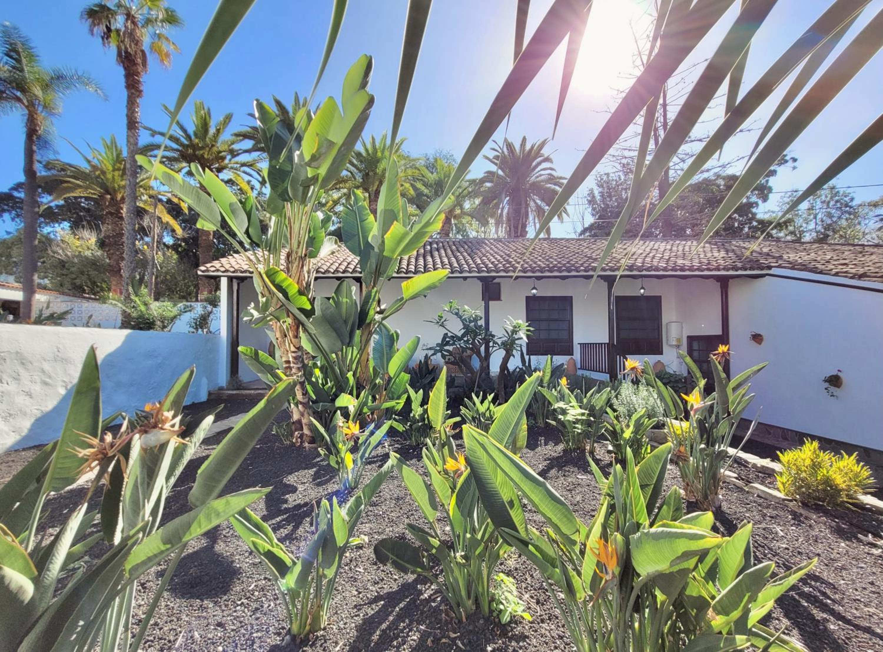 Hacienda La Vizcaina