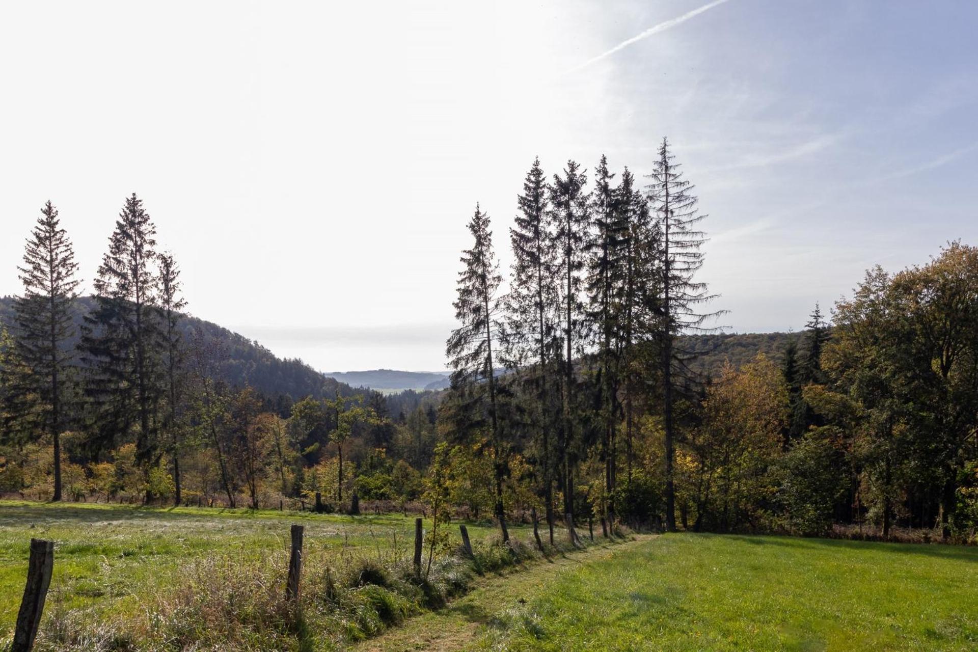 Groepshuis Waldfrieden