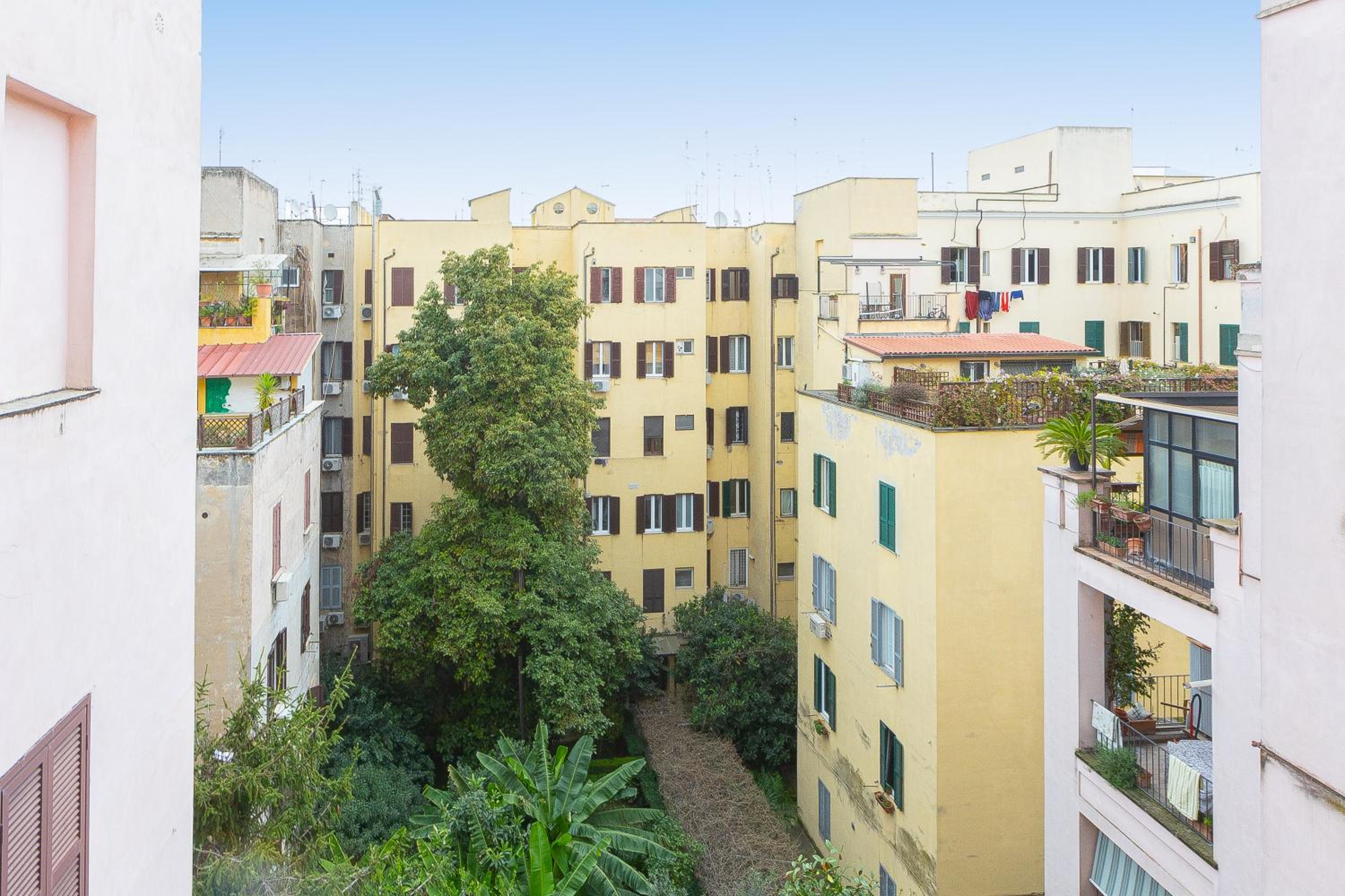 Tasso by Rental in Rome