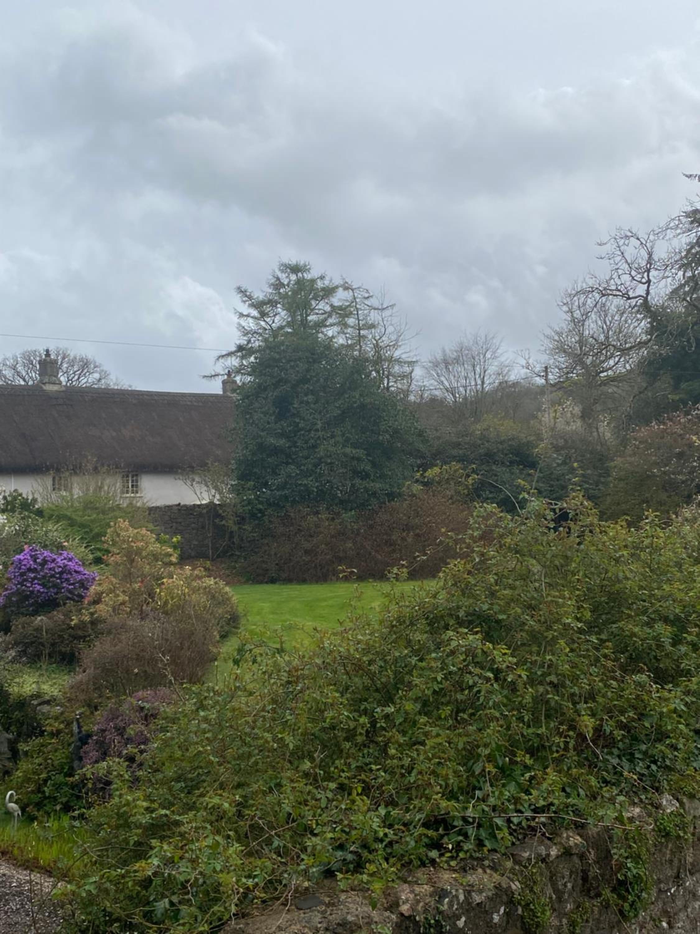 other