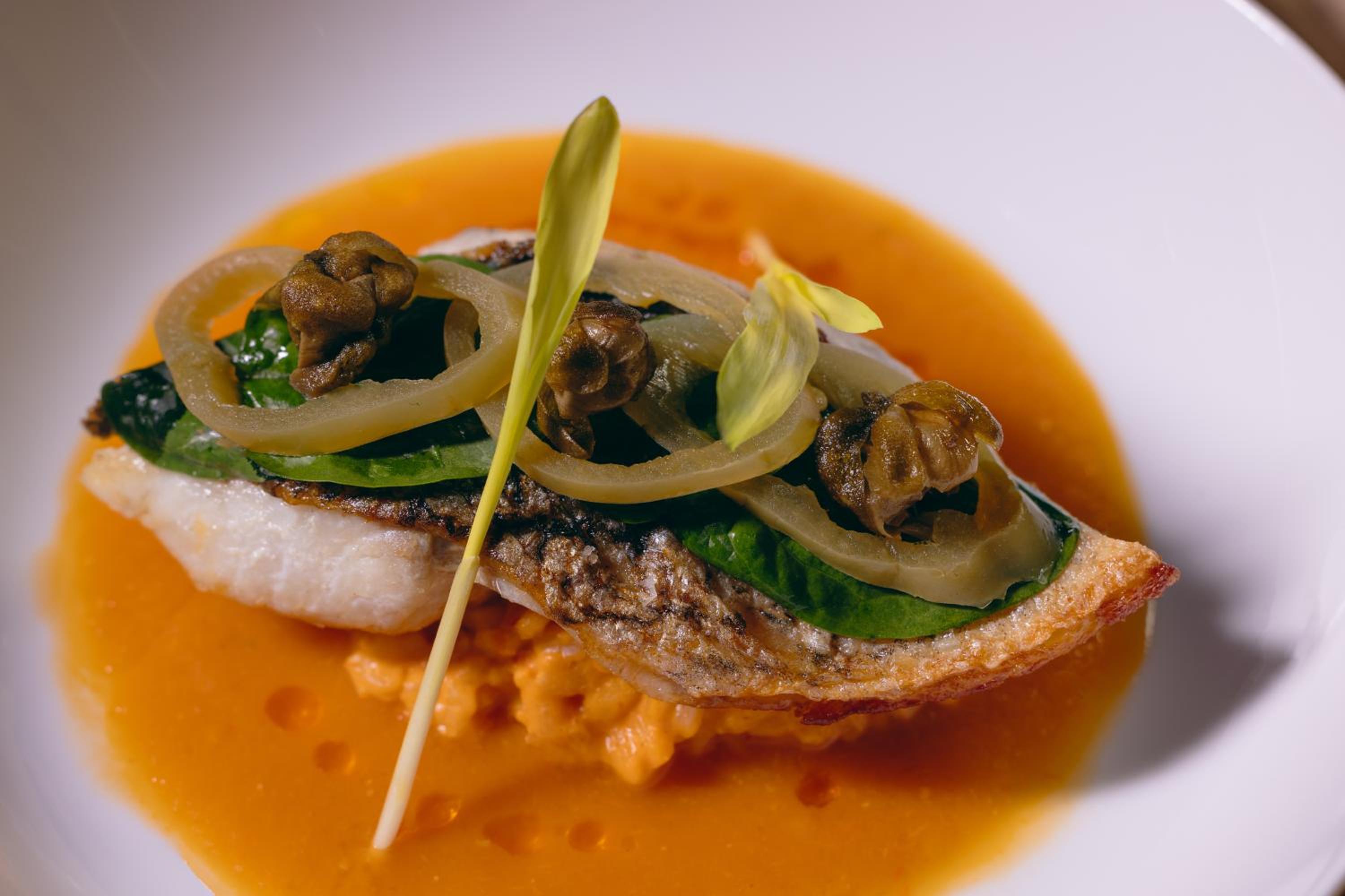 La Casa de la Playa by Xcaret- All Inclusive Adults Only - Property Image 138