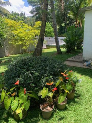 Healand Holiday Bungalow and Restaurant