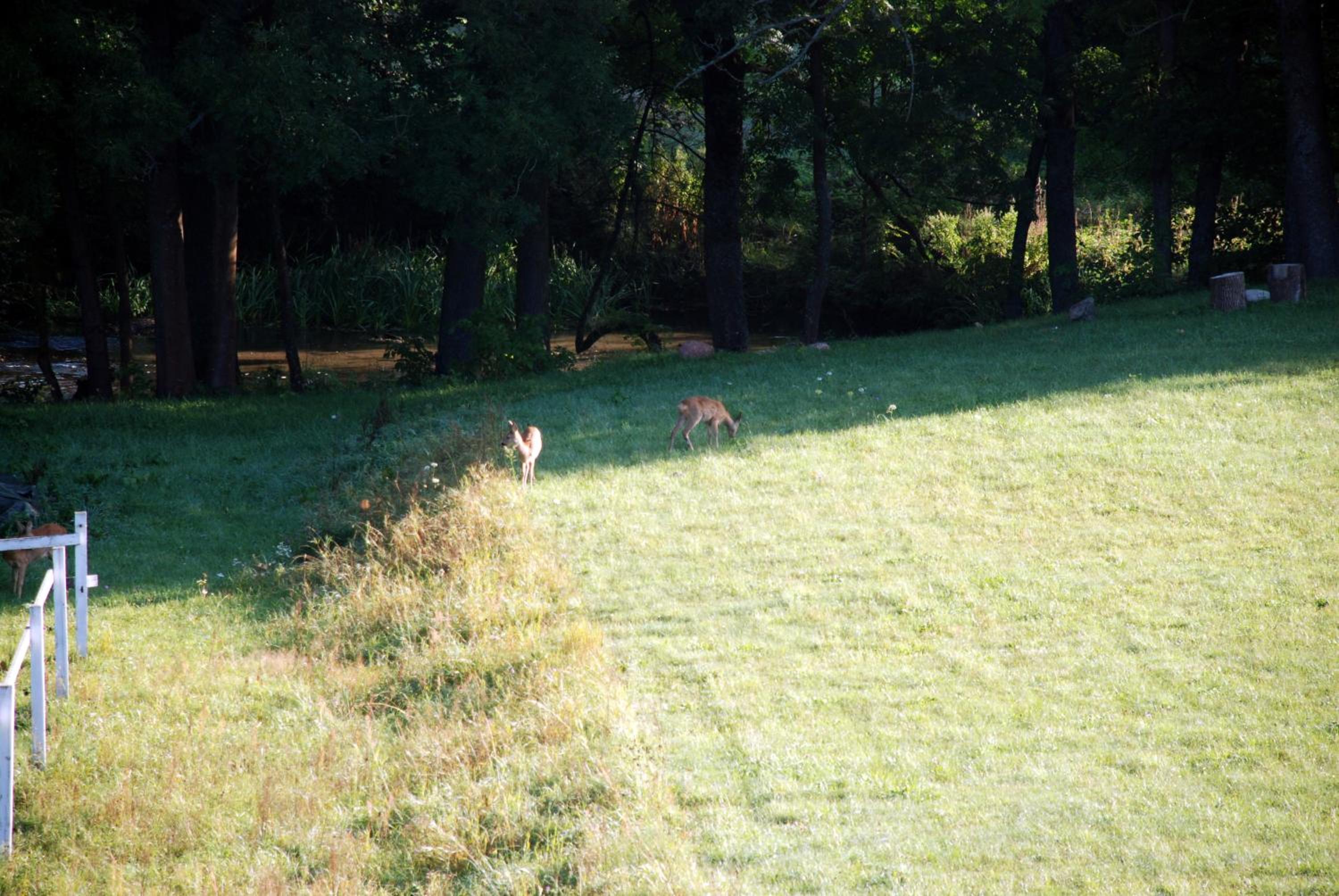 Photo 71