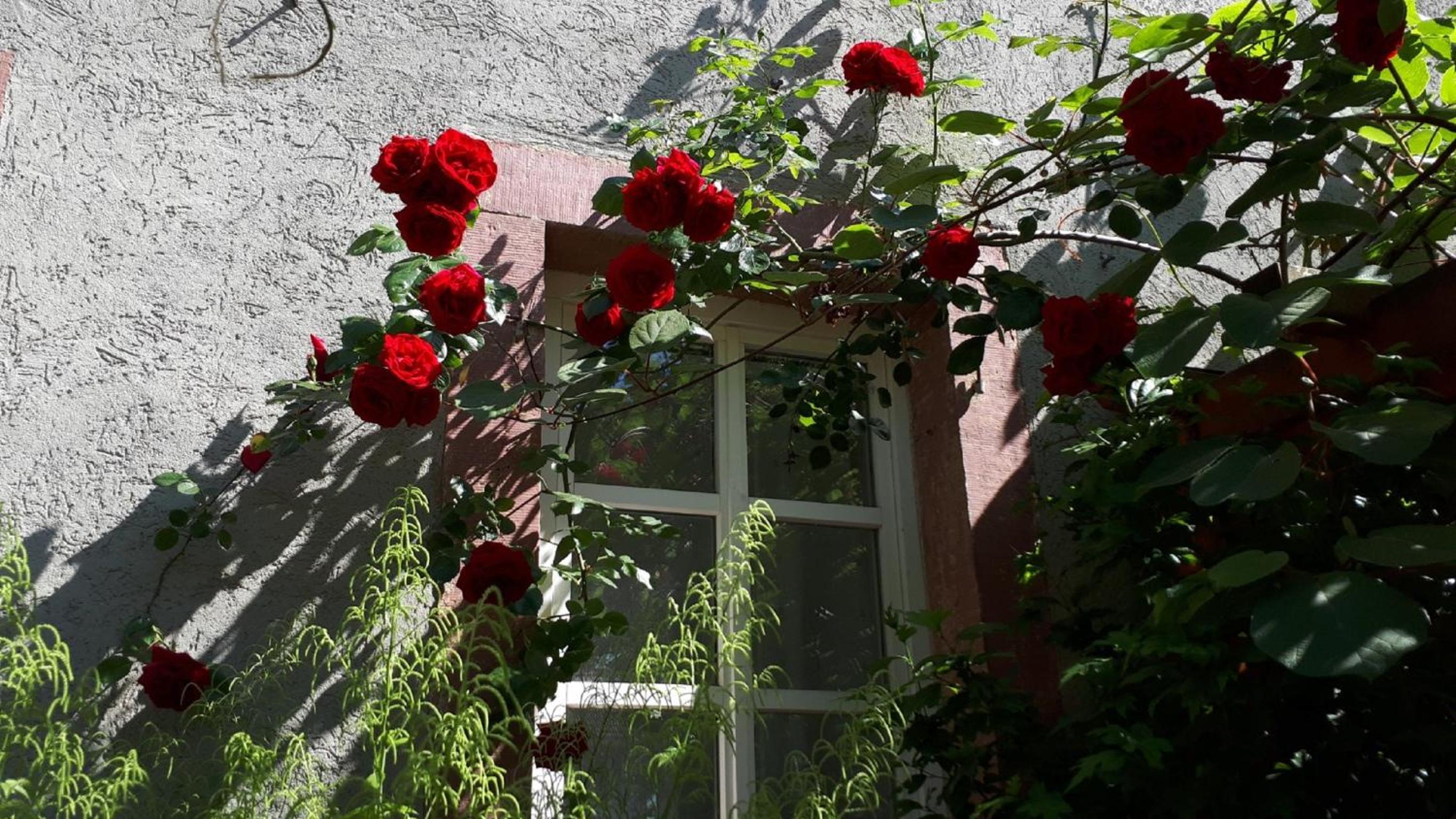 Apartment Annette Faust