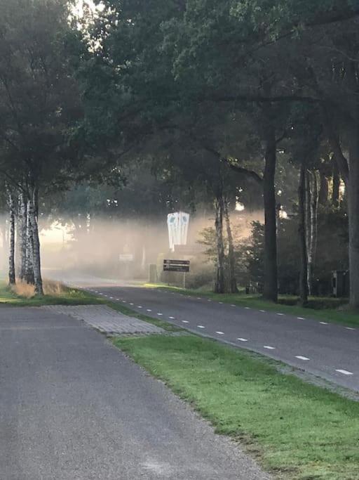 Saevis tranquillus in undis in de IJsvogel view 2