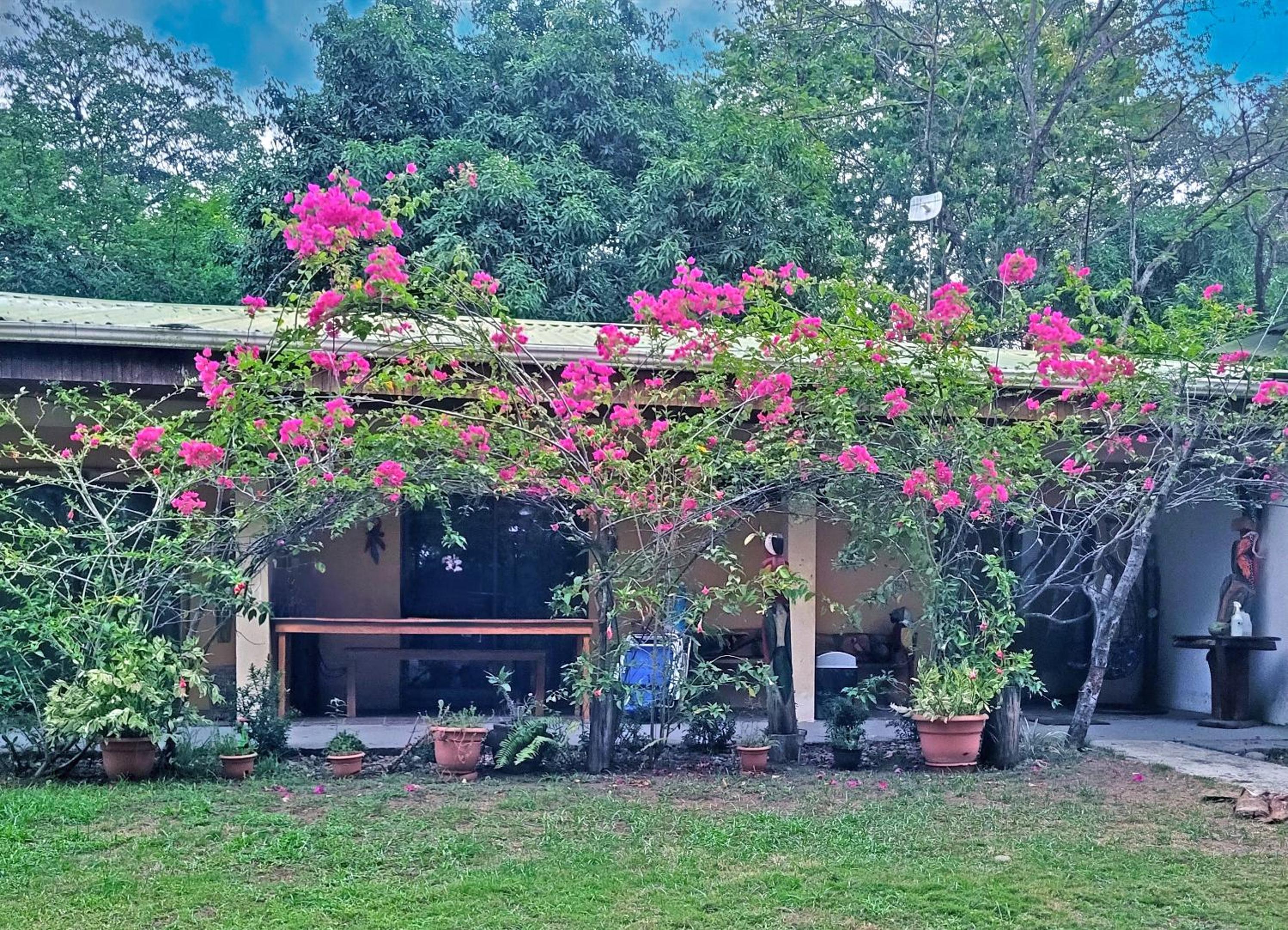 Villas Playa Palo Seco