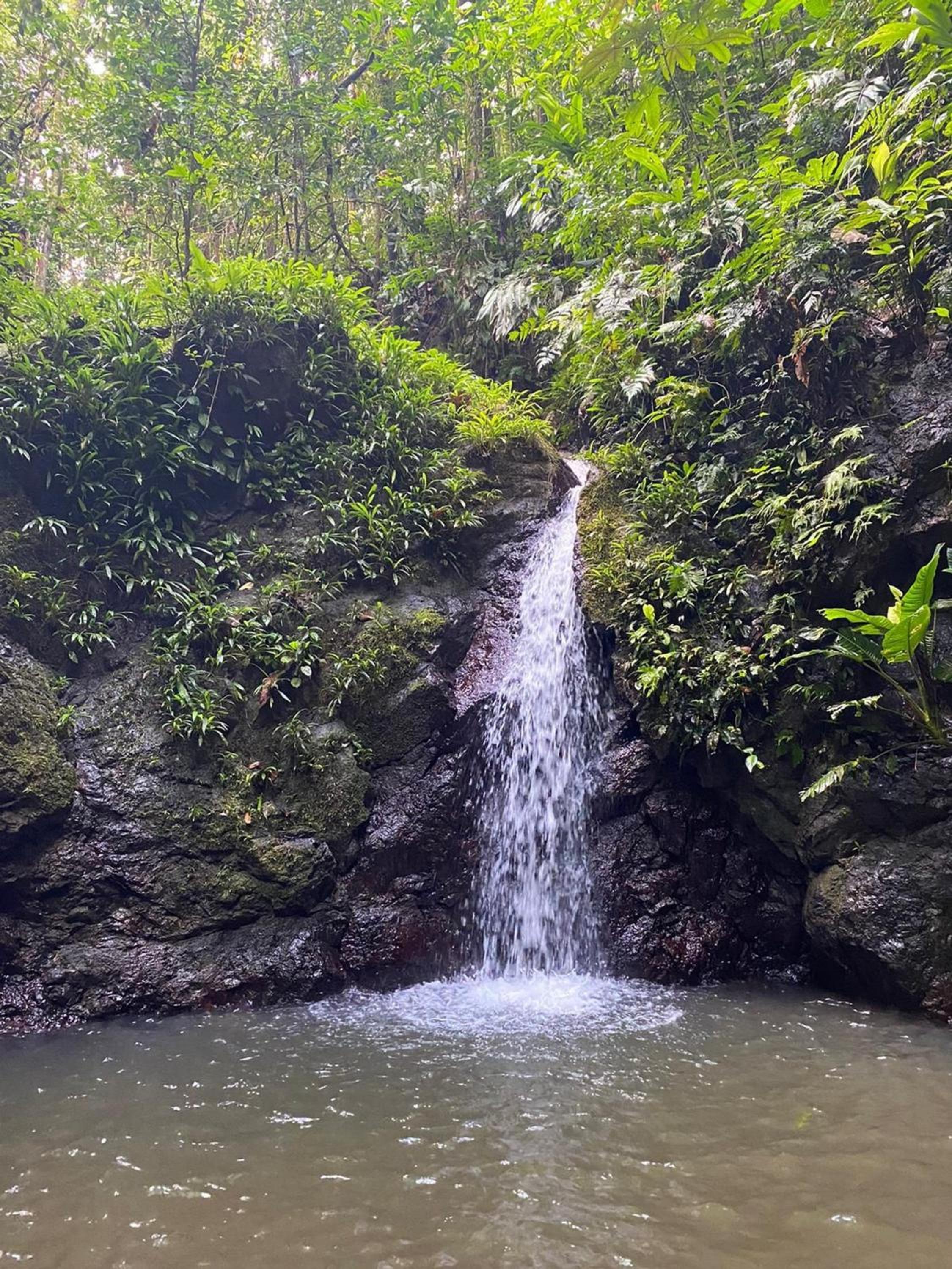 Posada Irimar