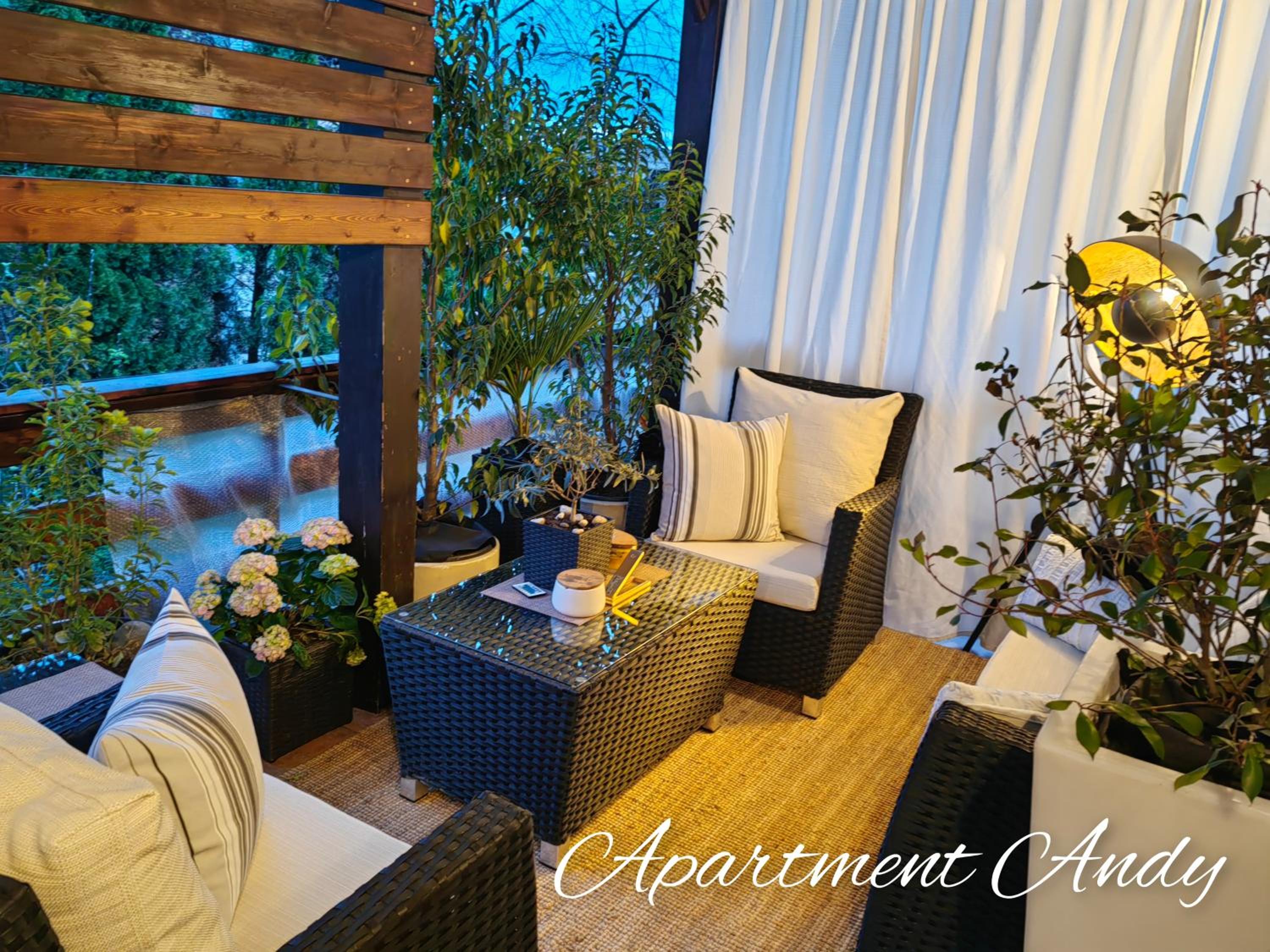 Apartment Andy