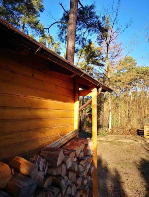 FEWO PARTNERS Haus Clemens - Gemütliches Holzhaus mit Grundstück nahe Badesee