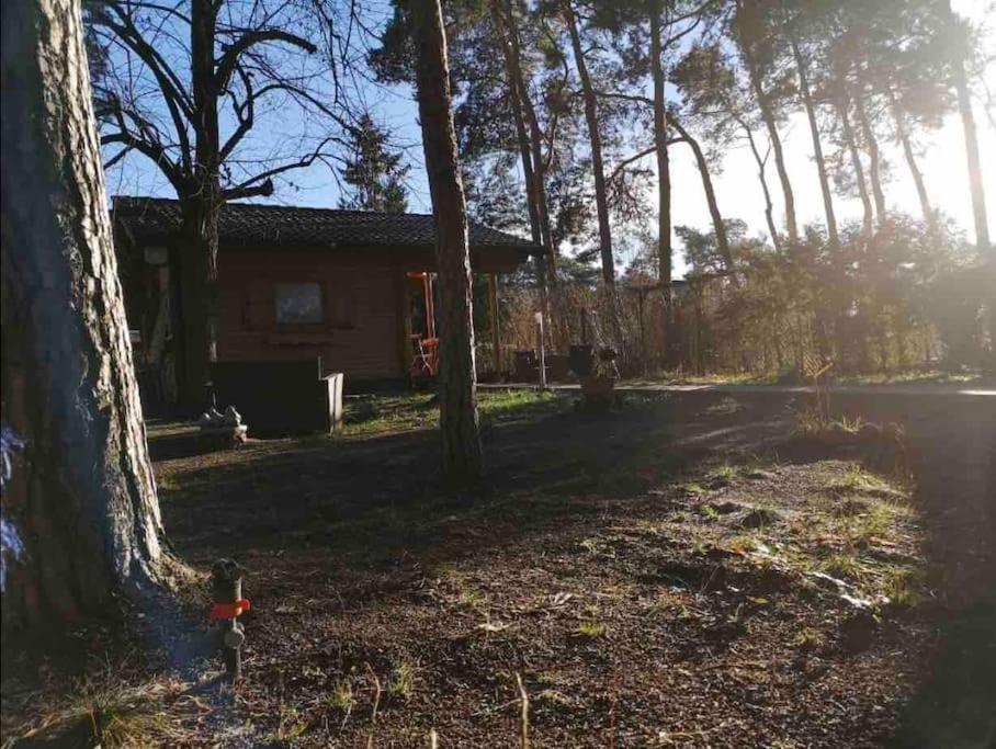 FEWO PARTNERS Haus Clemens - Gemütliches Holzhaus mit Grundstück nahe Badesee