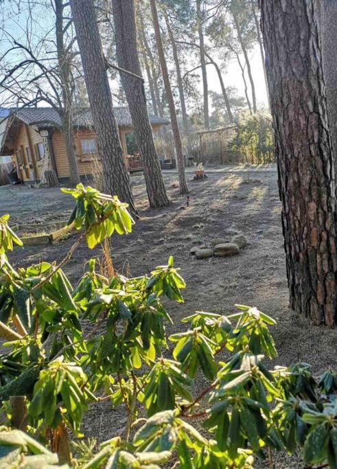 FEWO PARTNERS Haus Clemens - Gemütliches Holzhaus mit Grundstück nahe Badesee