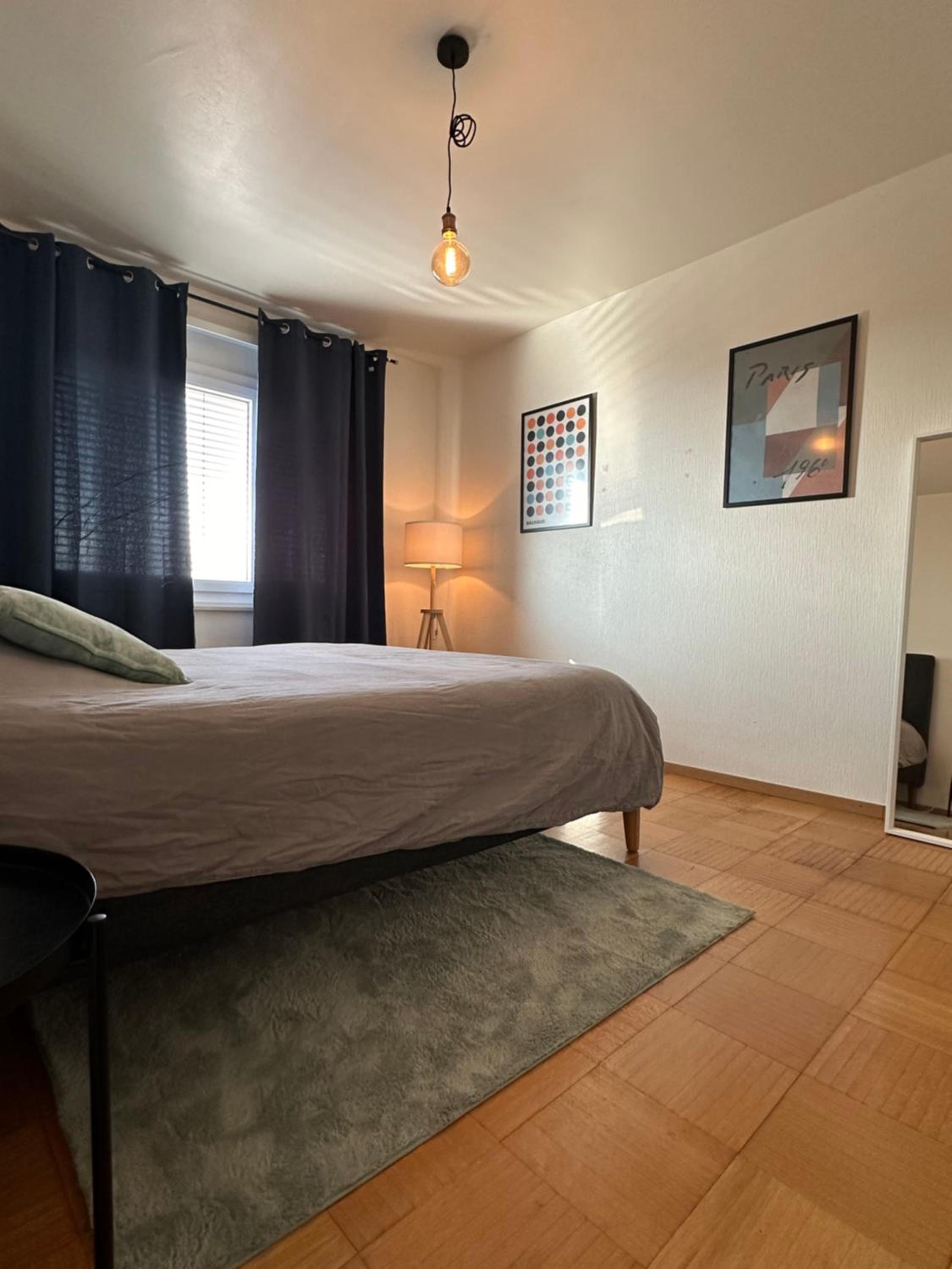 Appartement vue lac Montreux