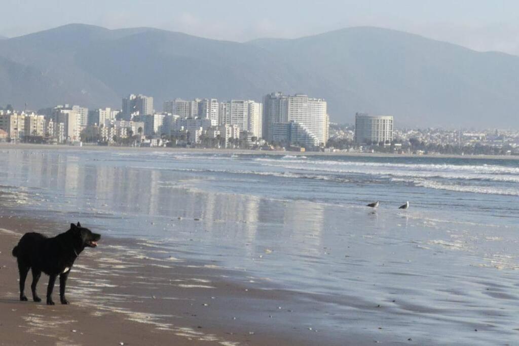 Departamento en Av del Mar, te espera!