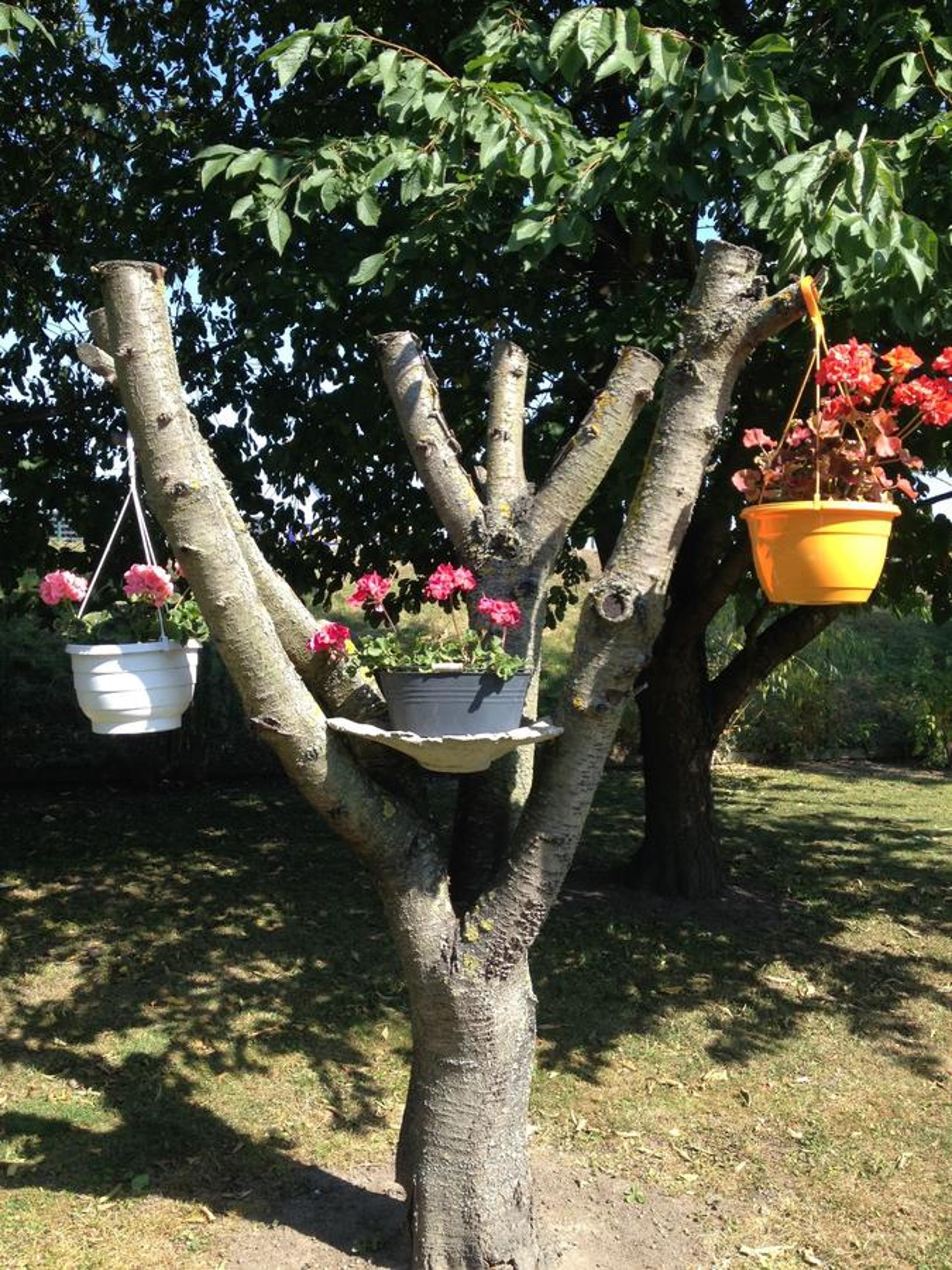 Vivans Bed and Self catering