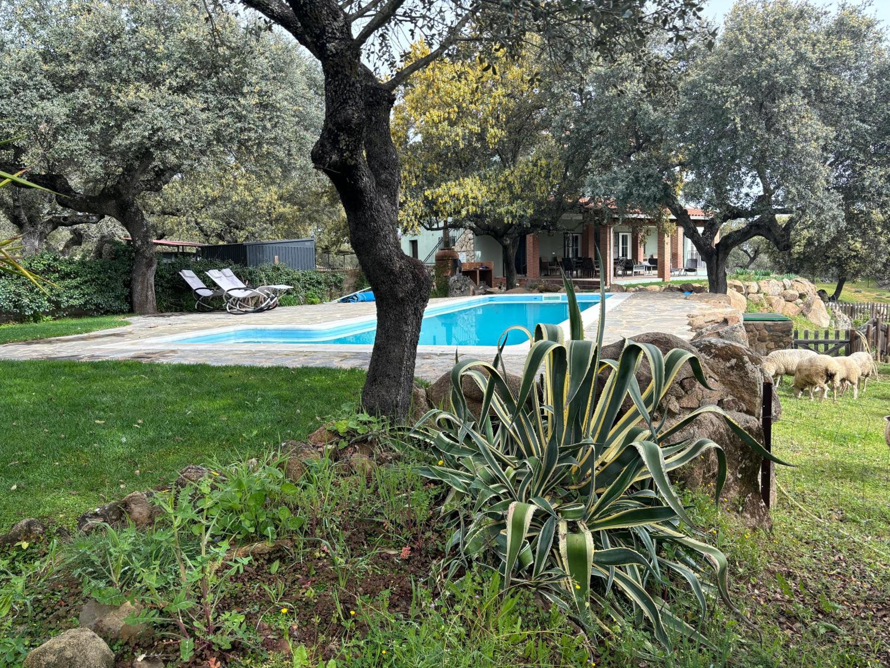 Finca Marowa