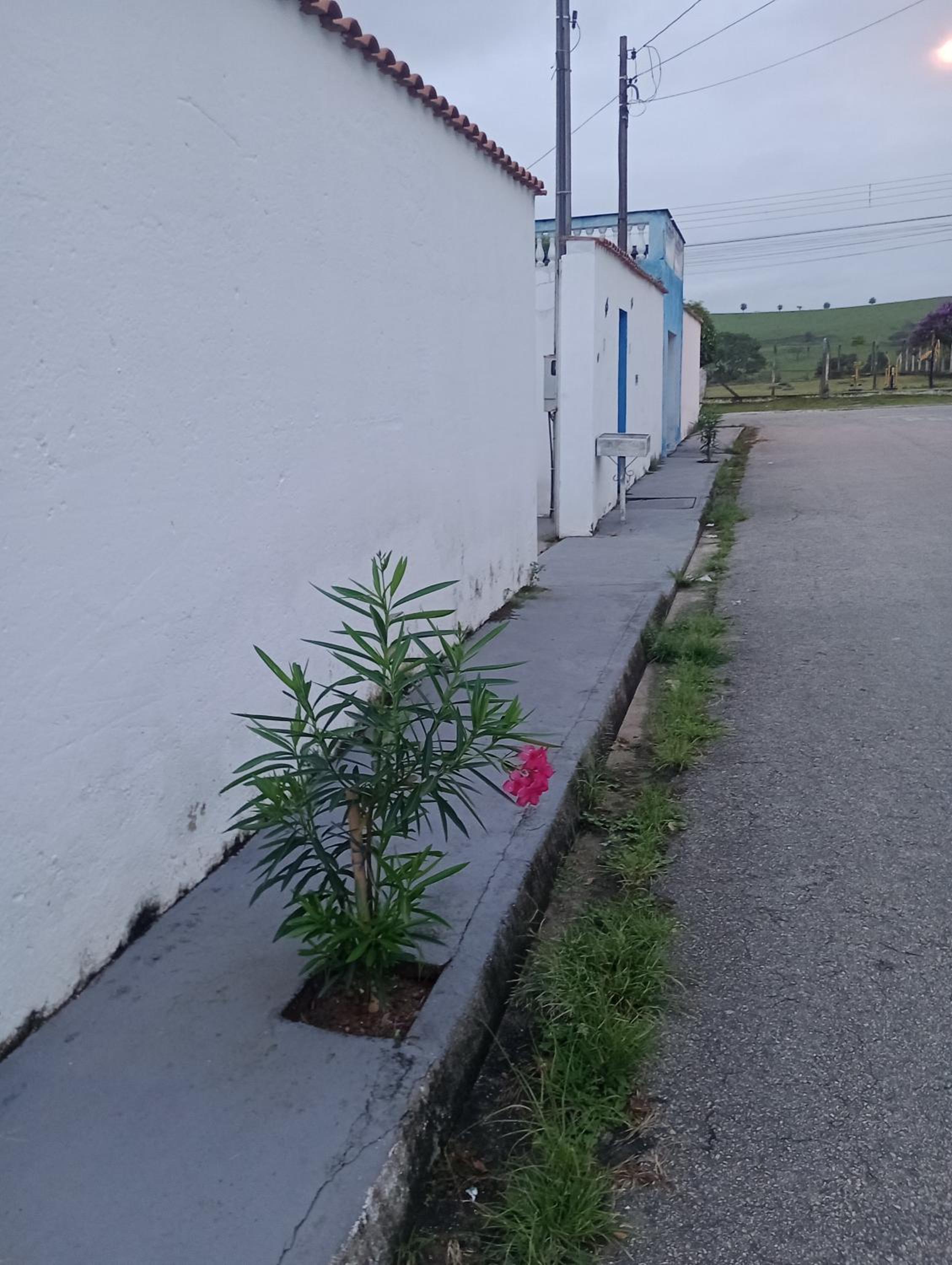 Espaço temporada Gardenias Guaratinguetá Proximo Basilica de Aparecida