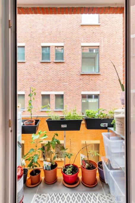 European heart 2-bedroom flat.