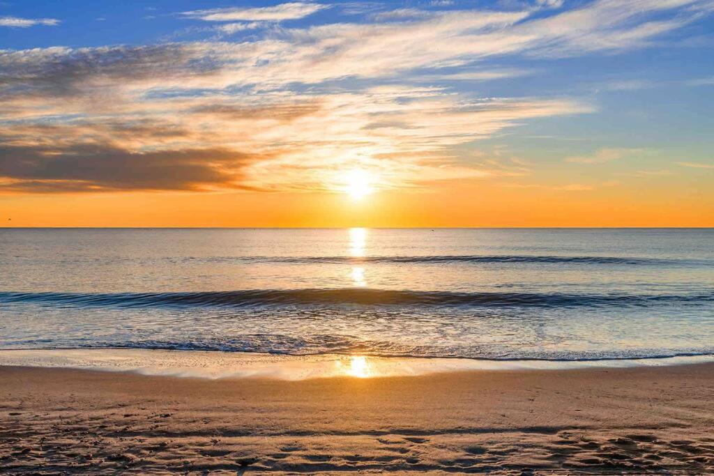 Tranquil Palms-Oceanfront Condo