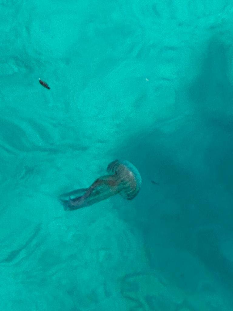 O'SCIA' appartamento a LAMPEDUSA