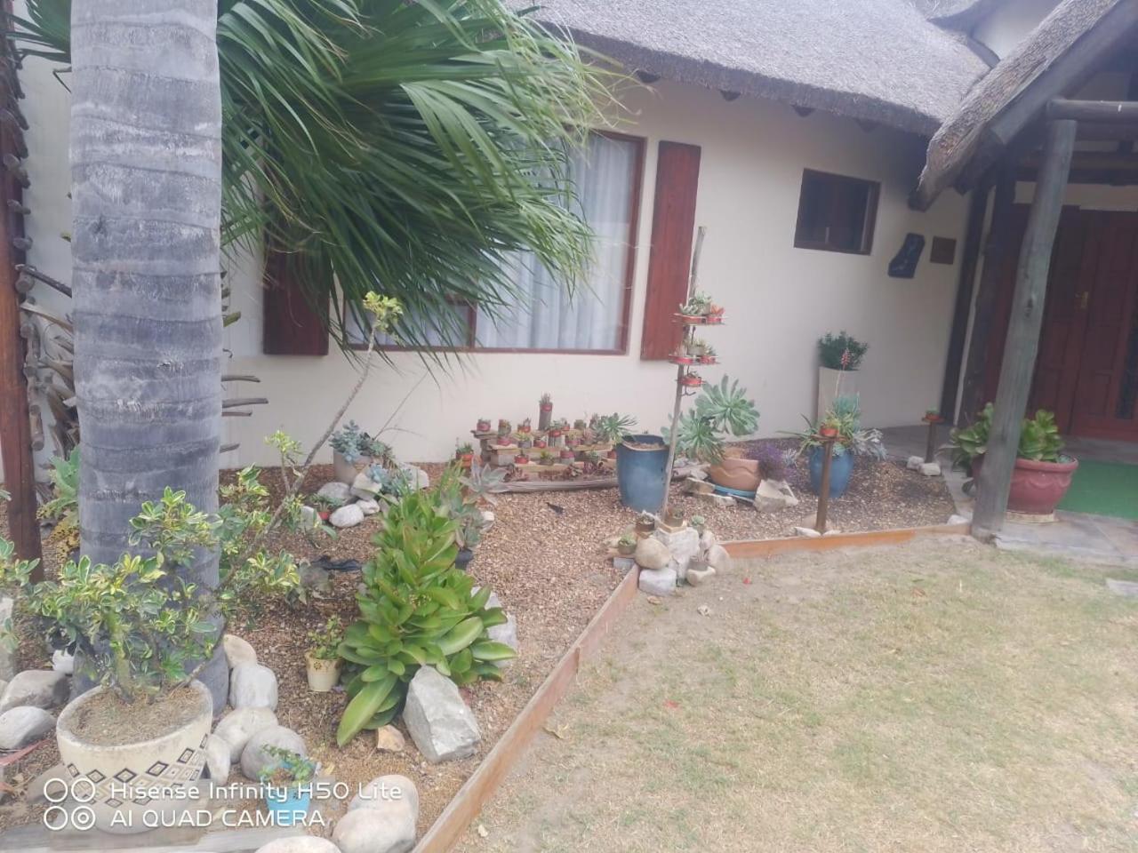 Photo 61