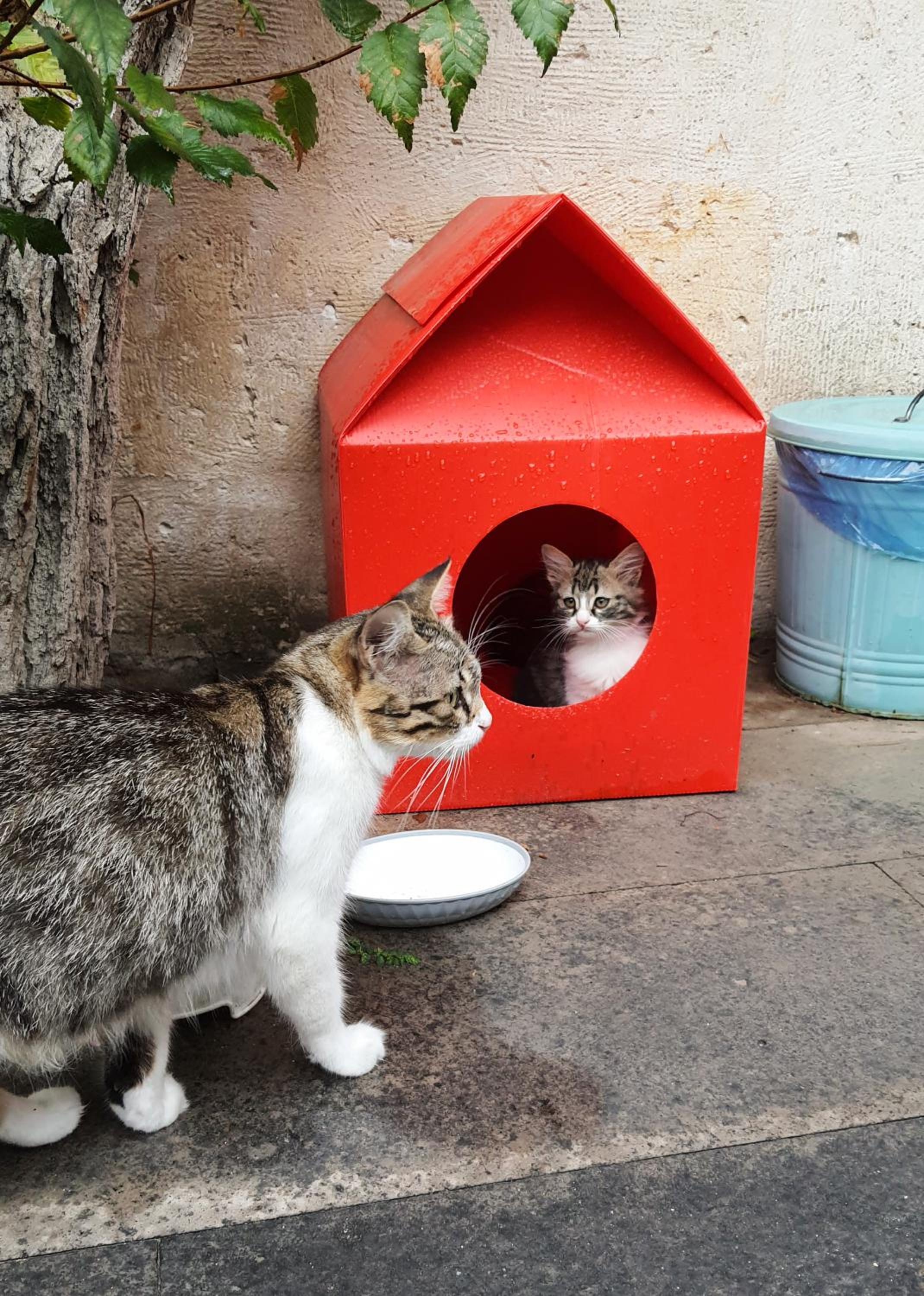 Karadut Cave Hotel - Image 91