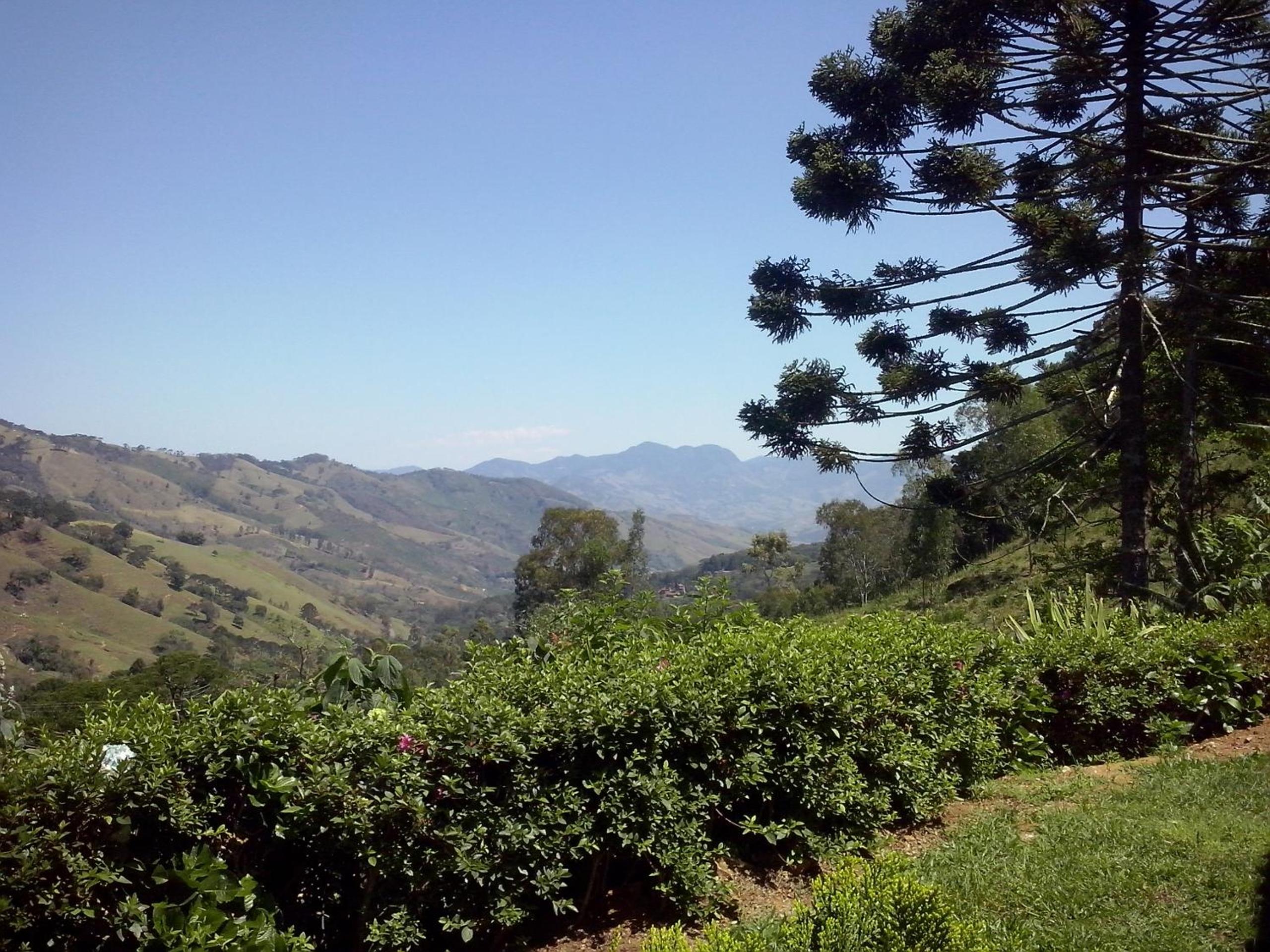 Photo 44