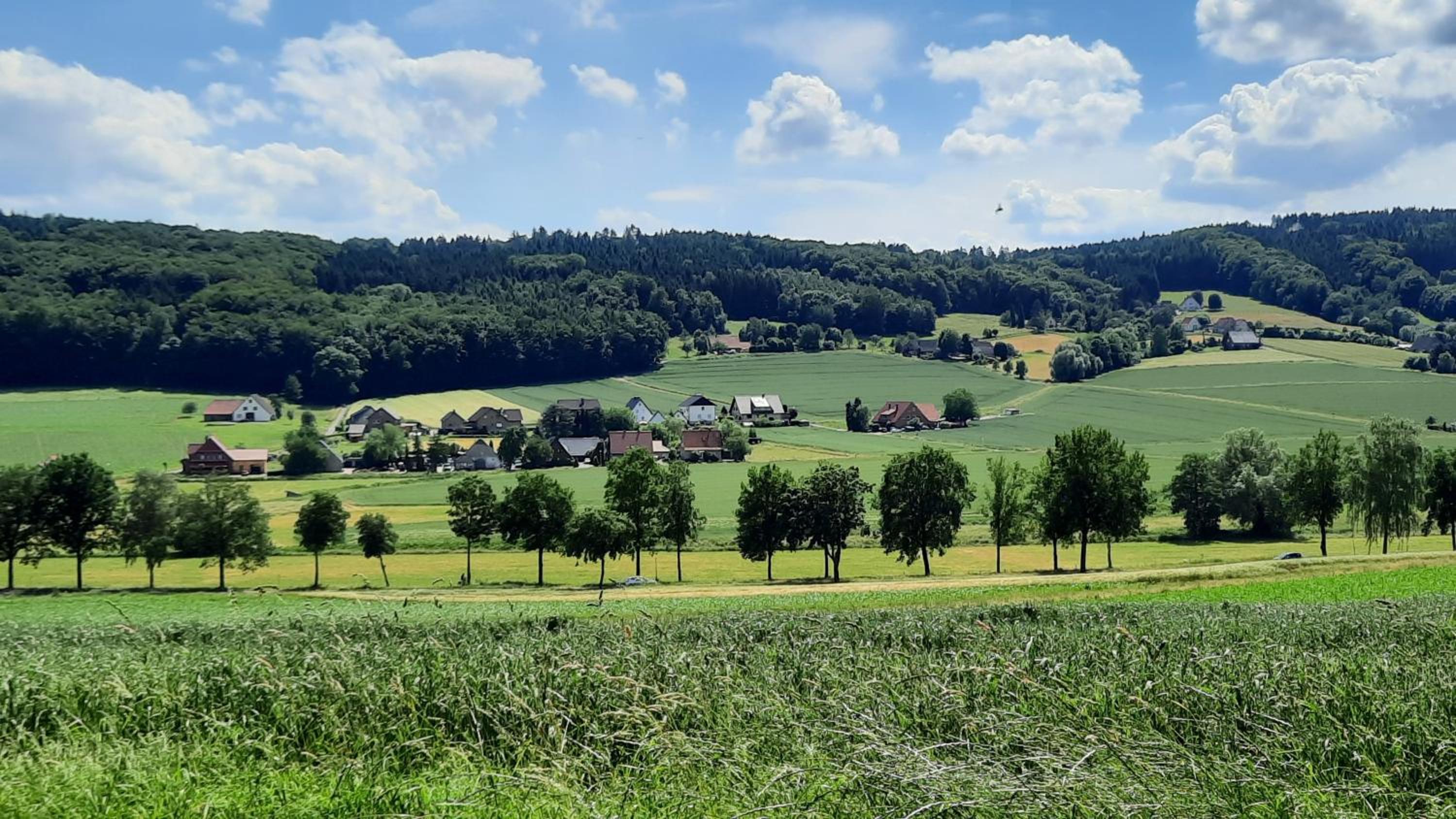 Fewo Kranich im Eggetal