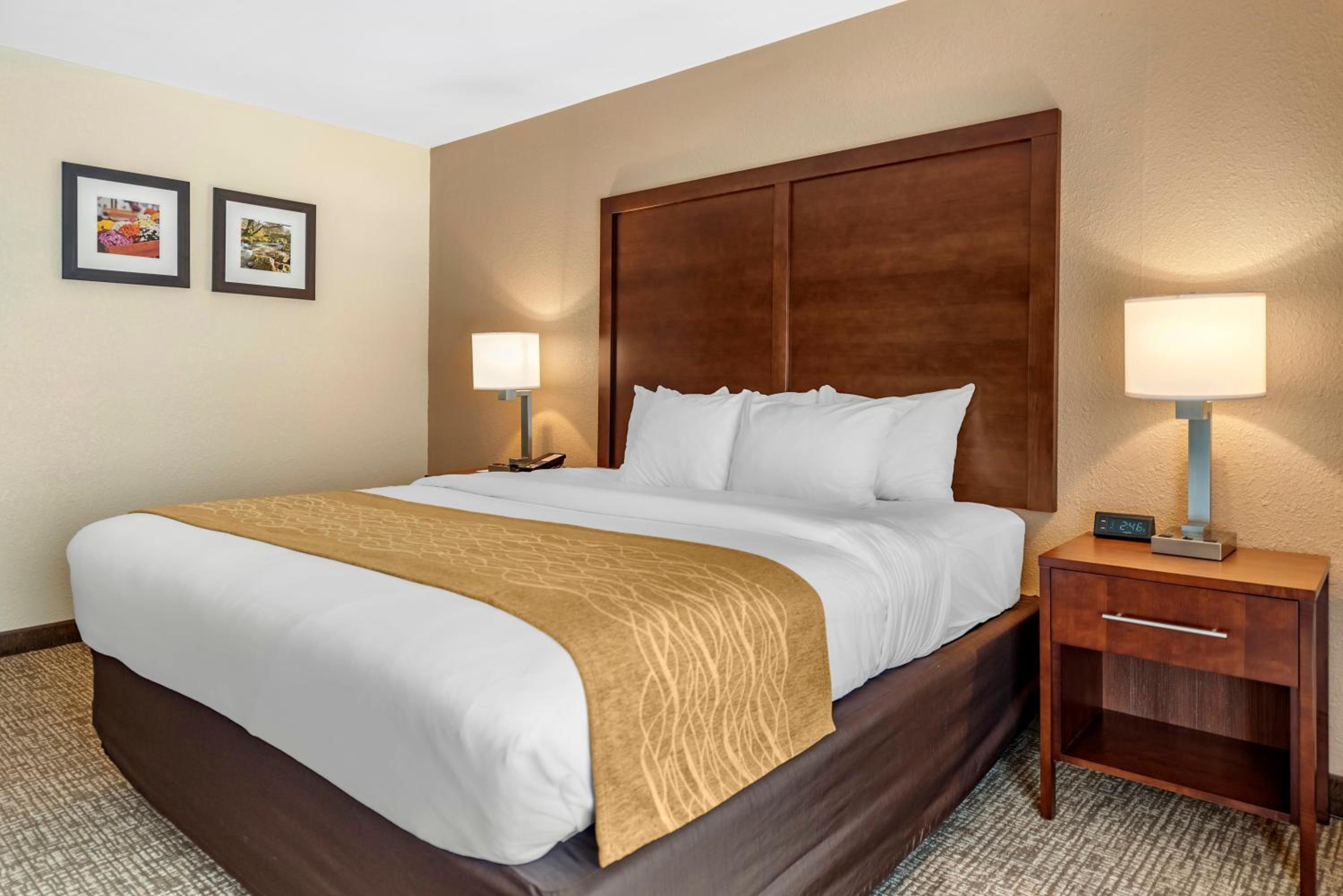 Comfort Inn Lafayette I-65, Zdjęcie 14