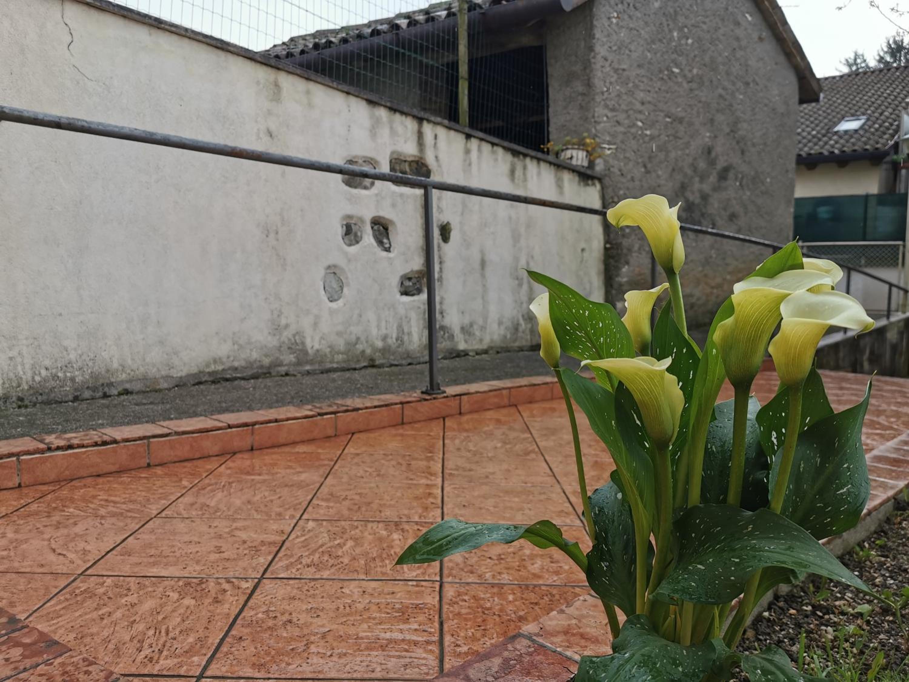 La casa nel borgo