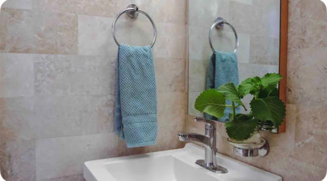 Caribe Rentals