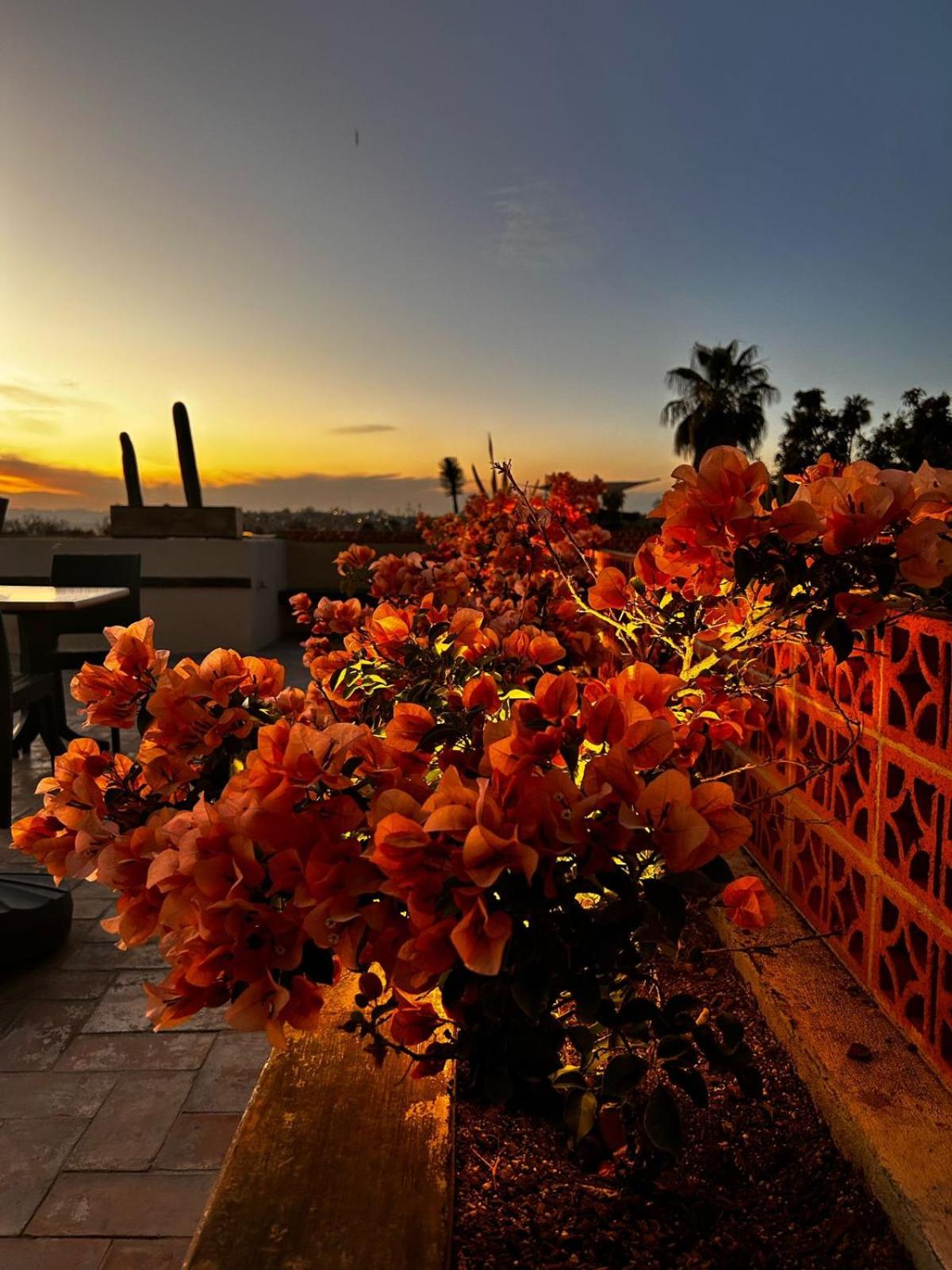 Bito's Hotel Boutique