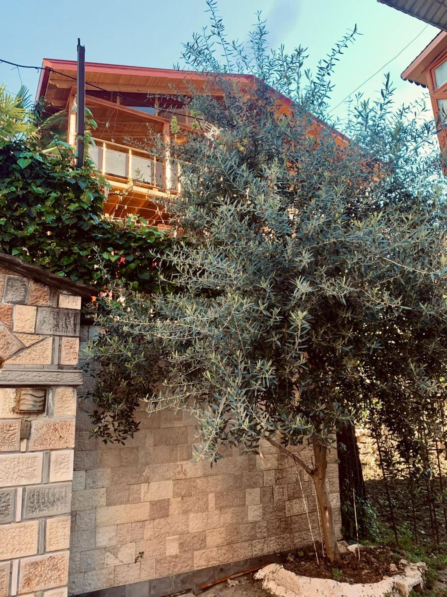 Alimeti Guesthouse
