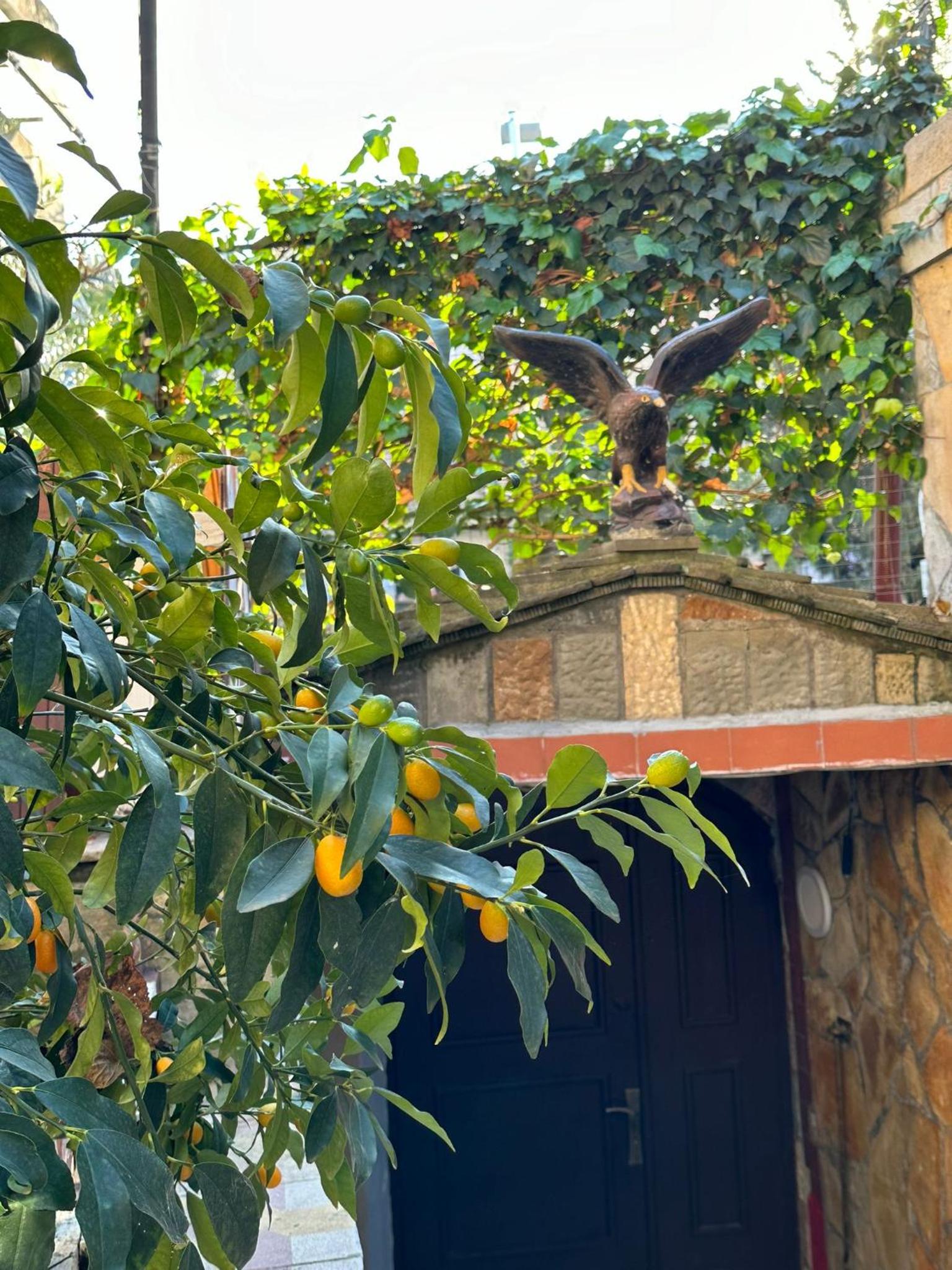 Alimeti Guesthouse