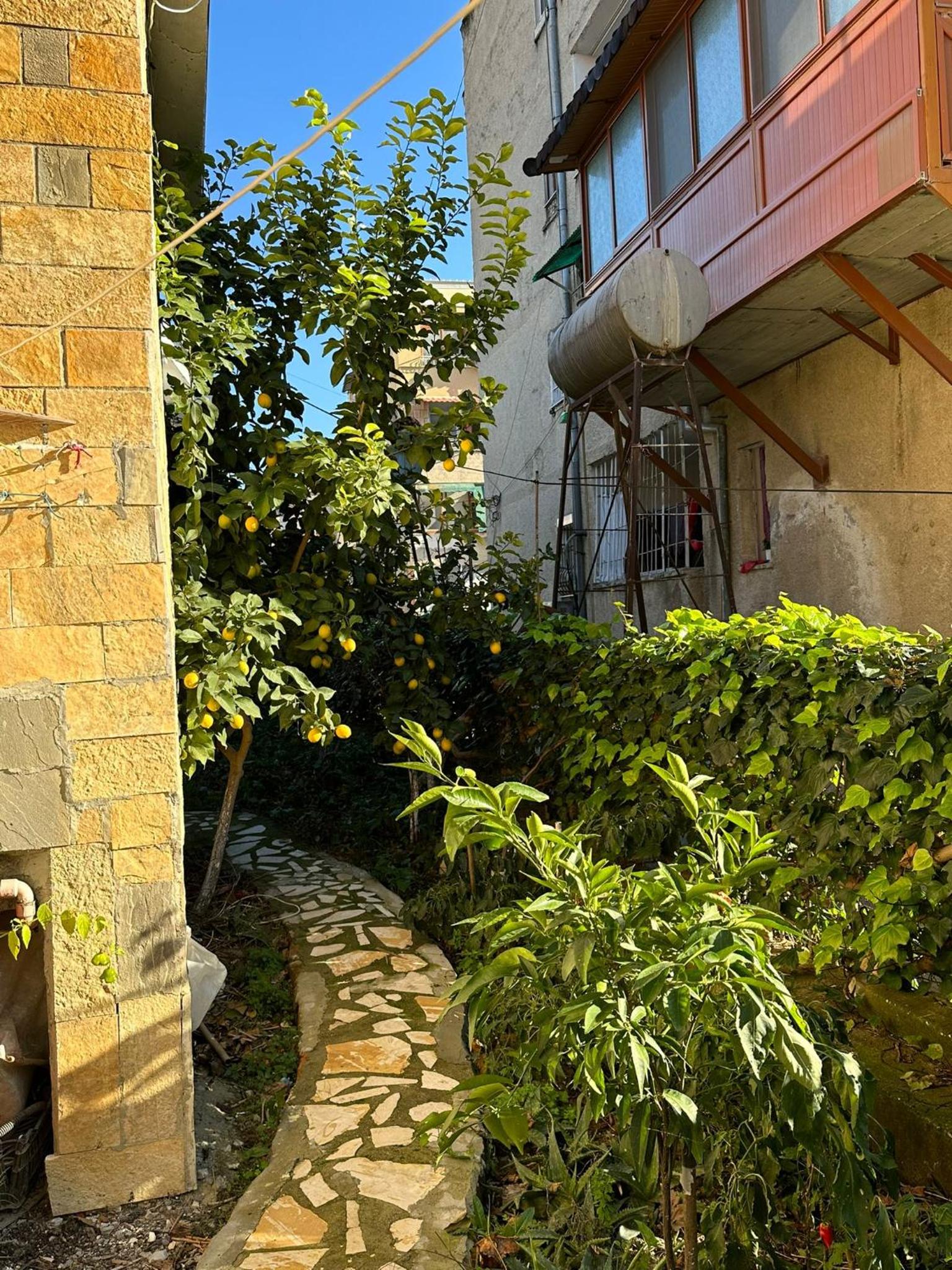 Alimeti Guesthouse