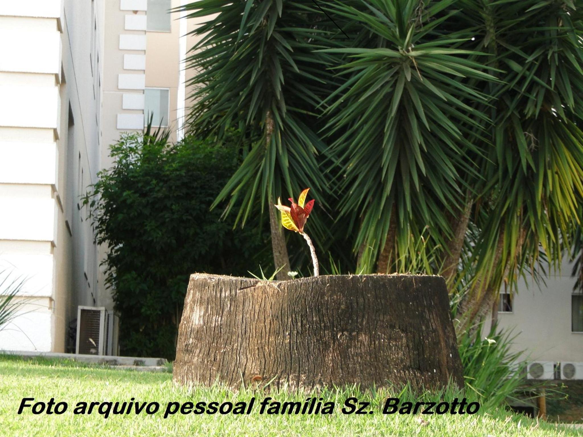 Encontro das Águas Caldas Novas