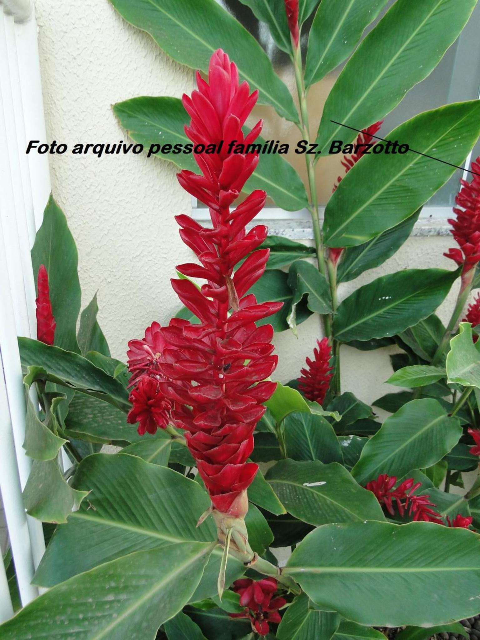 Encontro das Águas Caldas Novas