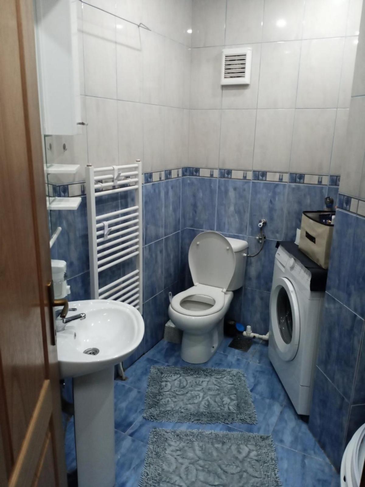 Apartman Mladenovic Center, free parking&wifi, photo 17