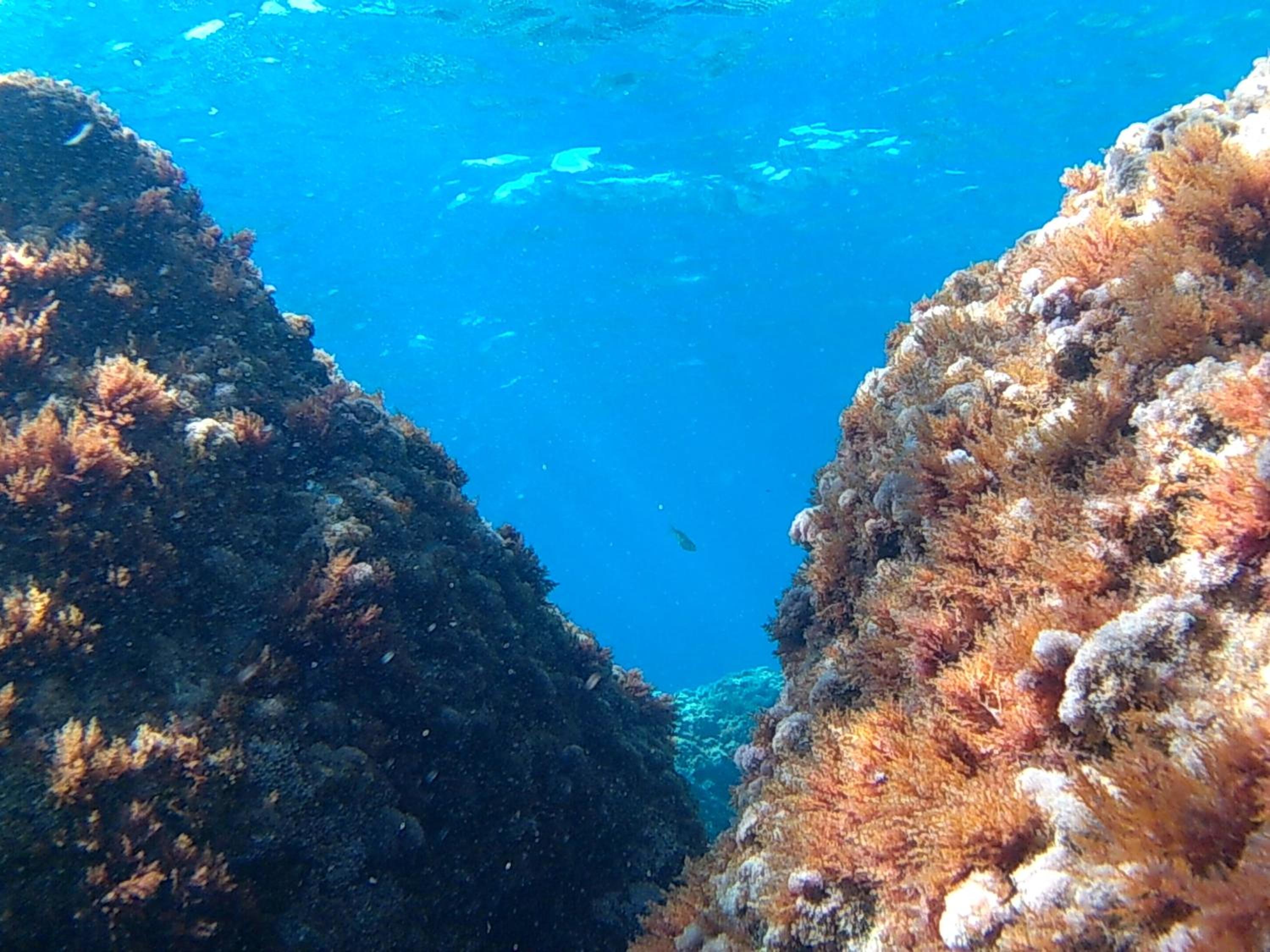 Bilocale panoramico “Lo sguardo”