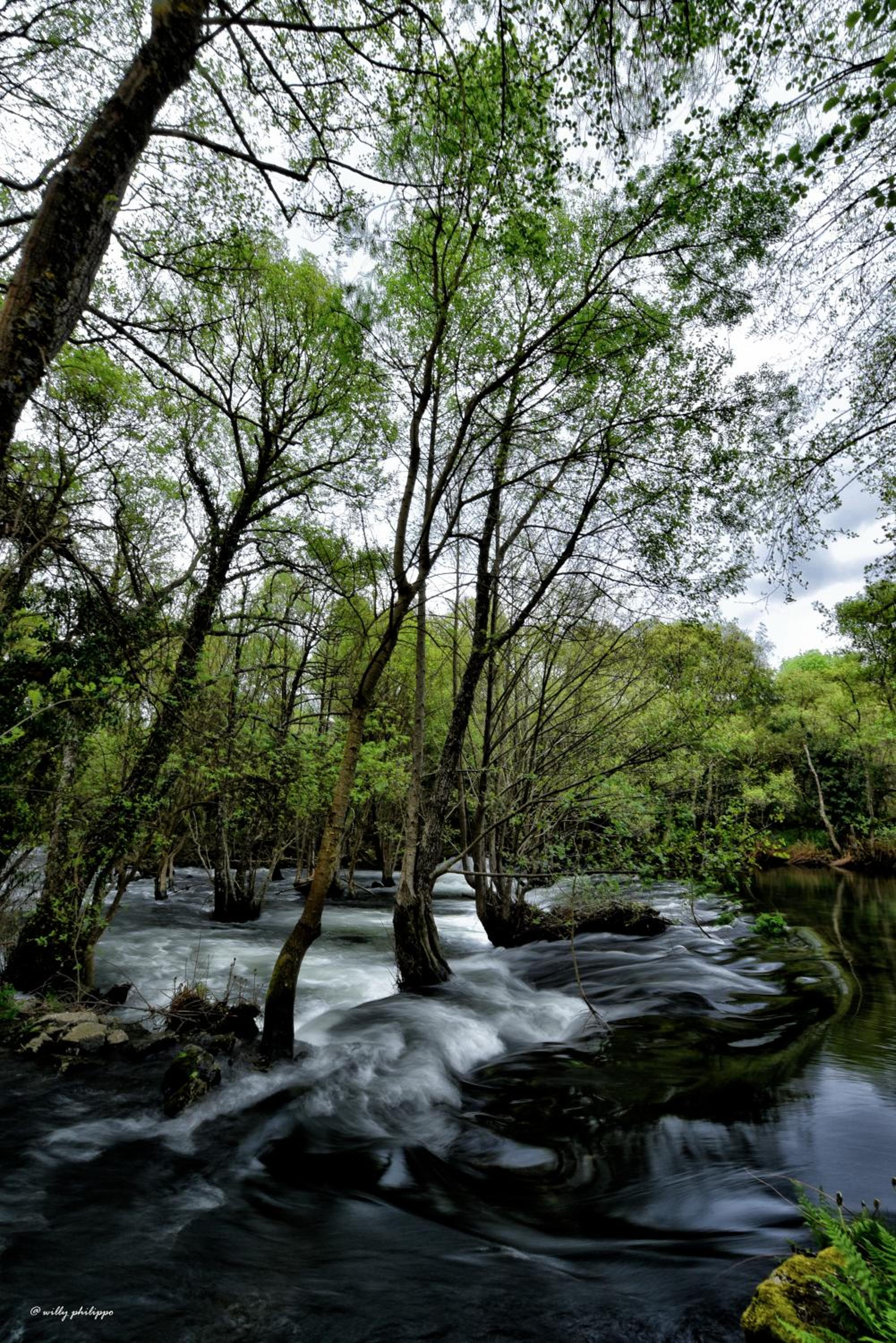 Quinta Do Moinho Turismo de Natureza