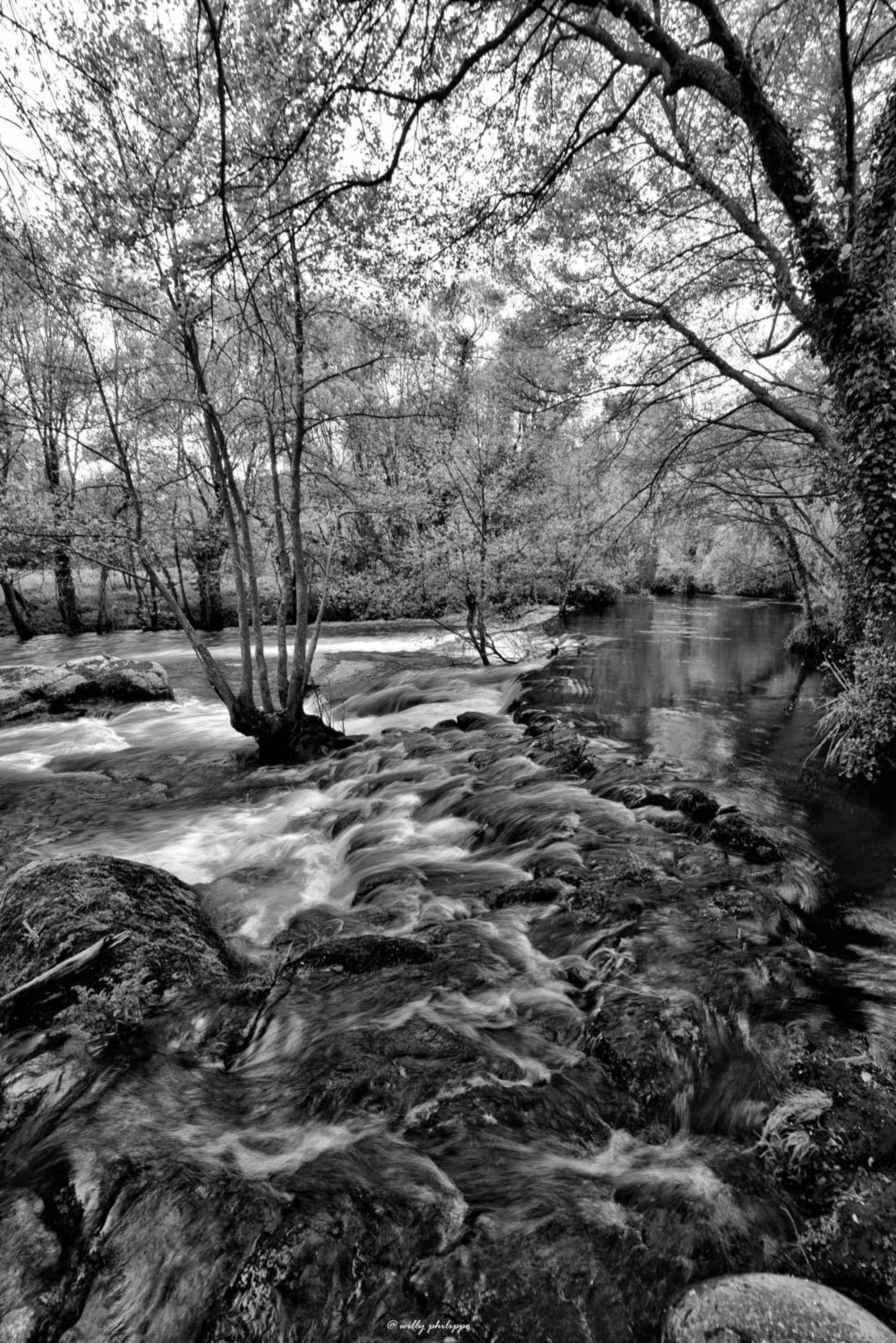 Quinta Do Moinho Turismo de Natureza