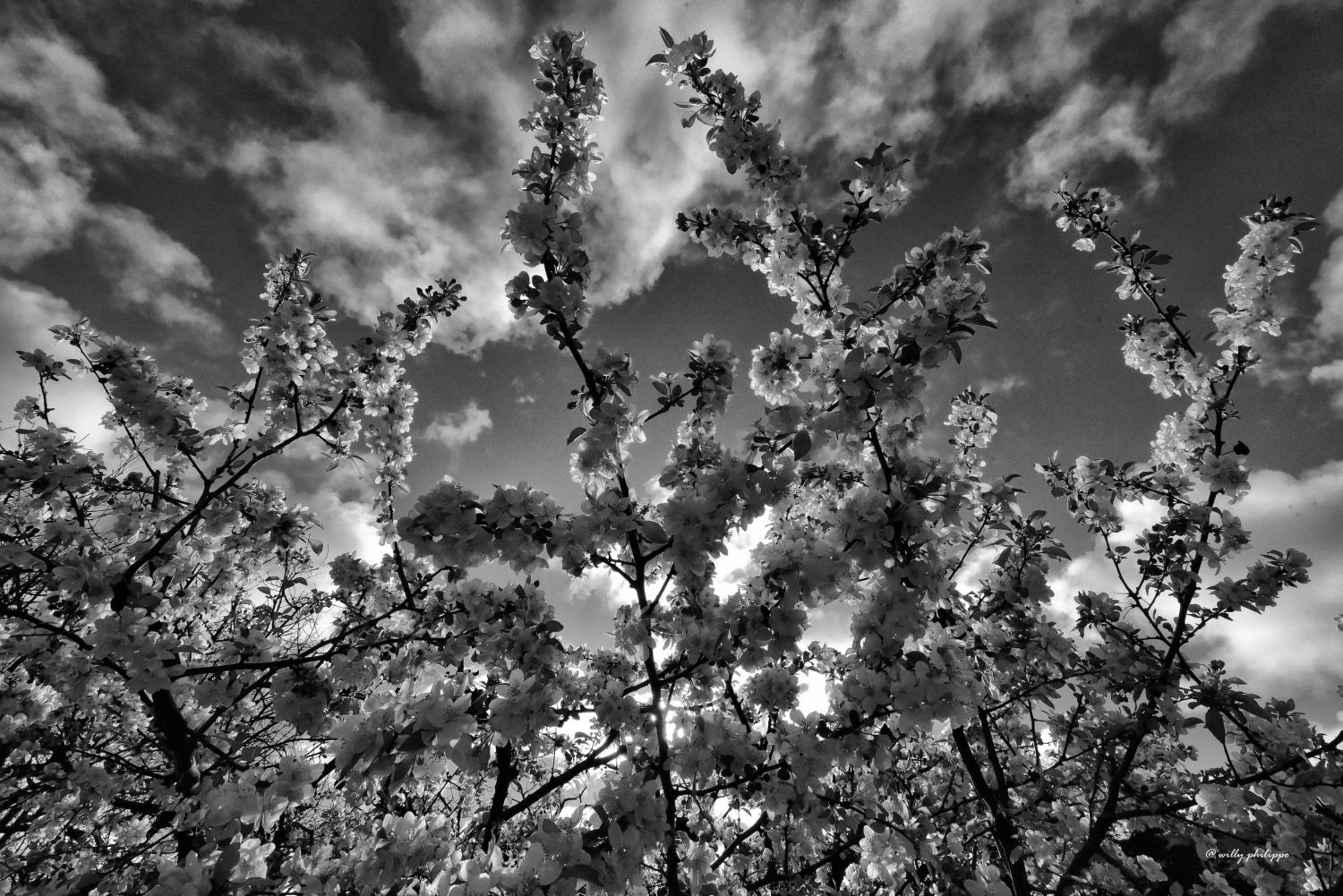 Quinta Do Moinho Turismo de Natureza