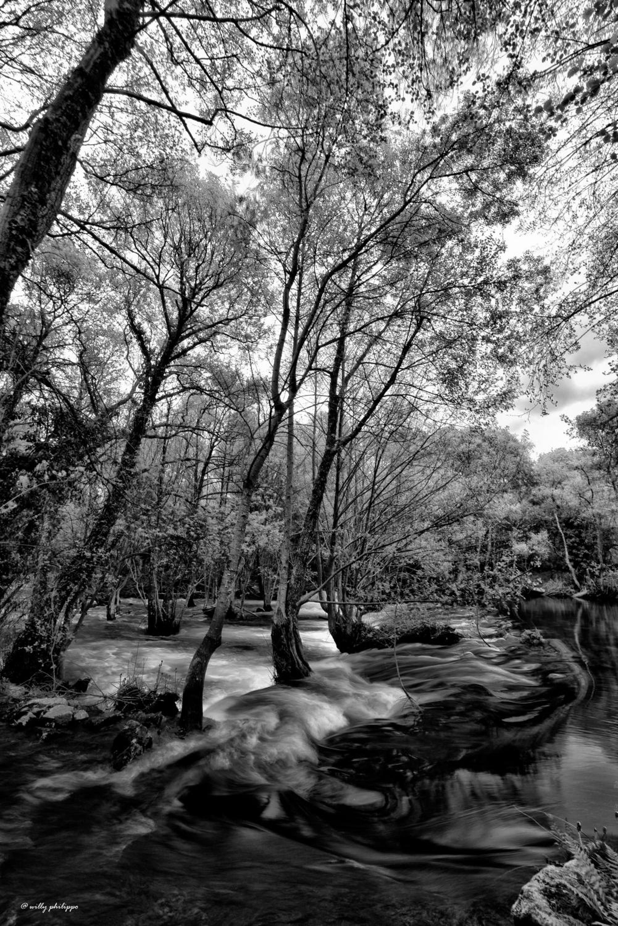 Quinta Do Moinho Turismo de Natureza