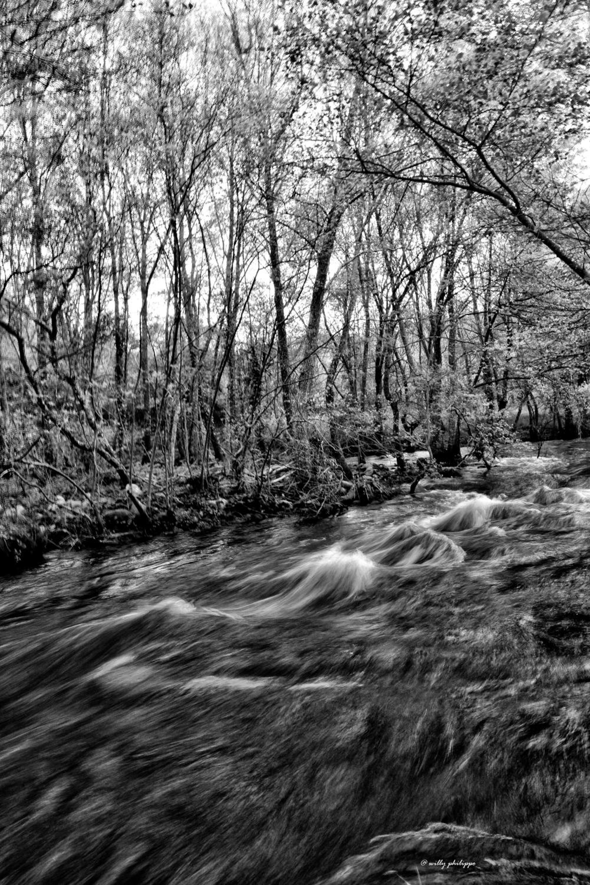 Quinta Do Moinho Turismo de Natureza