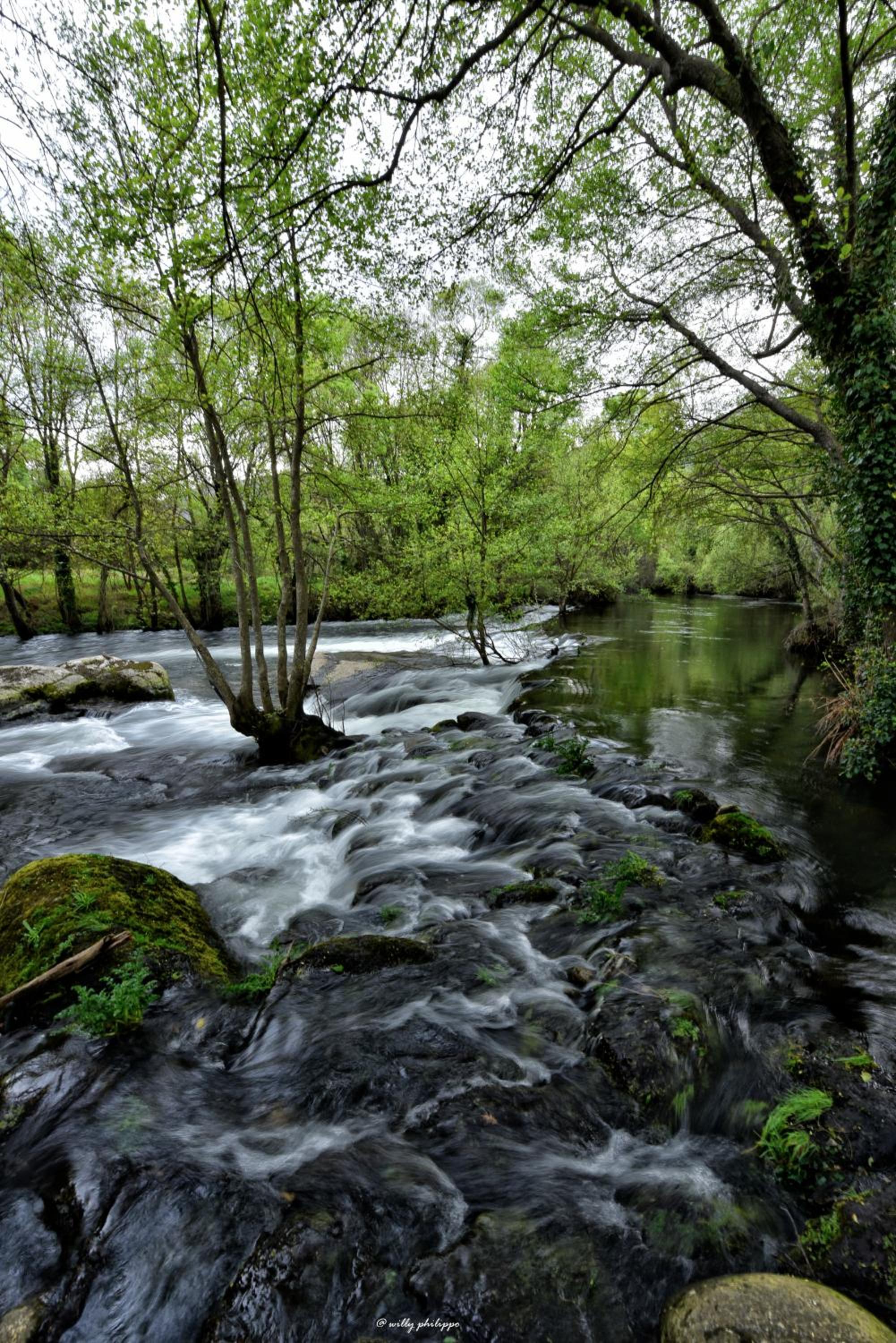 Quinta Do Moinho Turismo de Natureza
