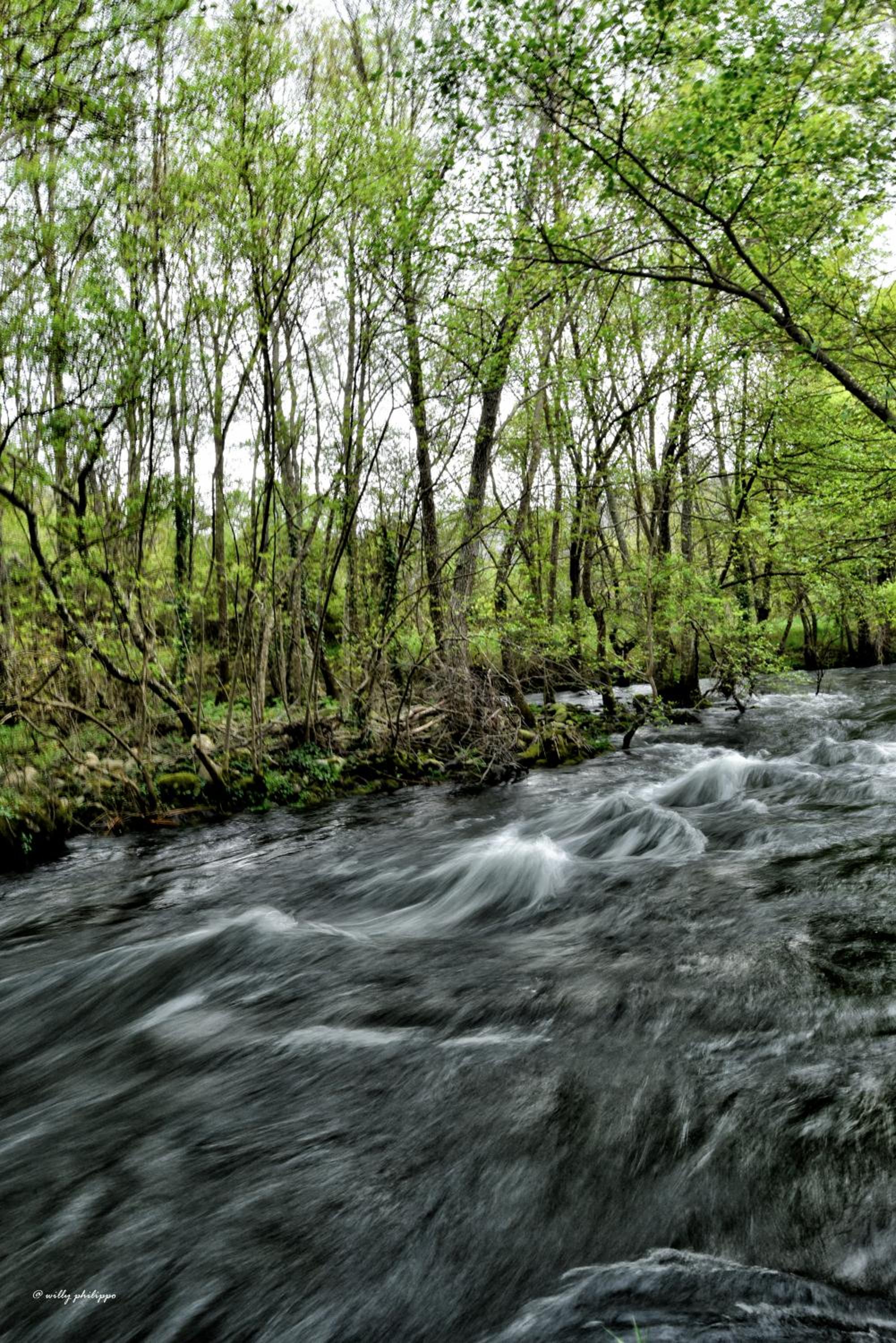 Quinta Do Moinho Turismo de Natureza